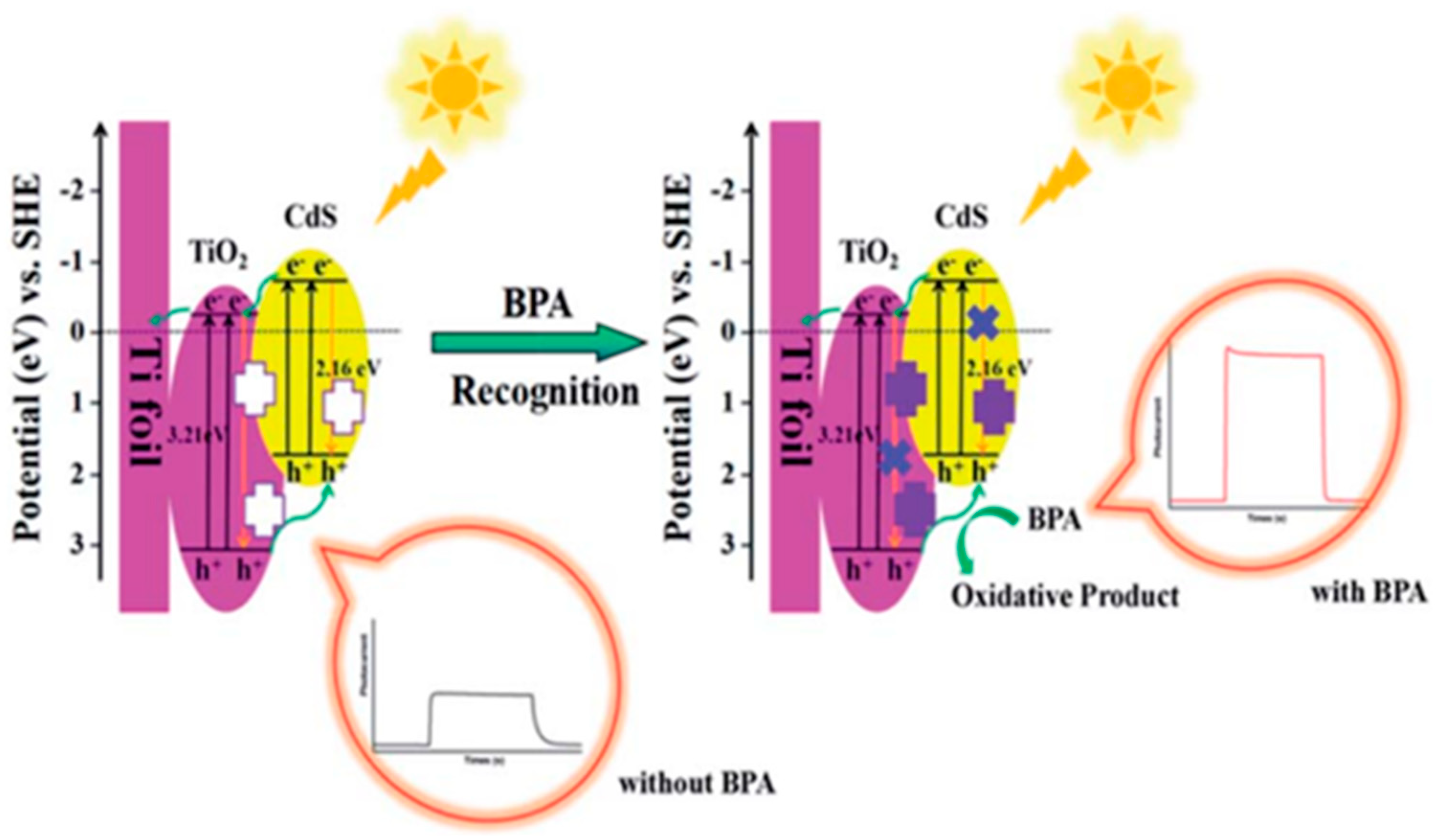 Chemosensors 12 00072 g014