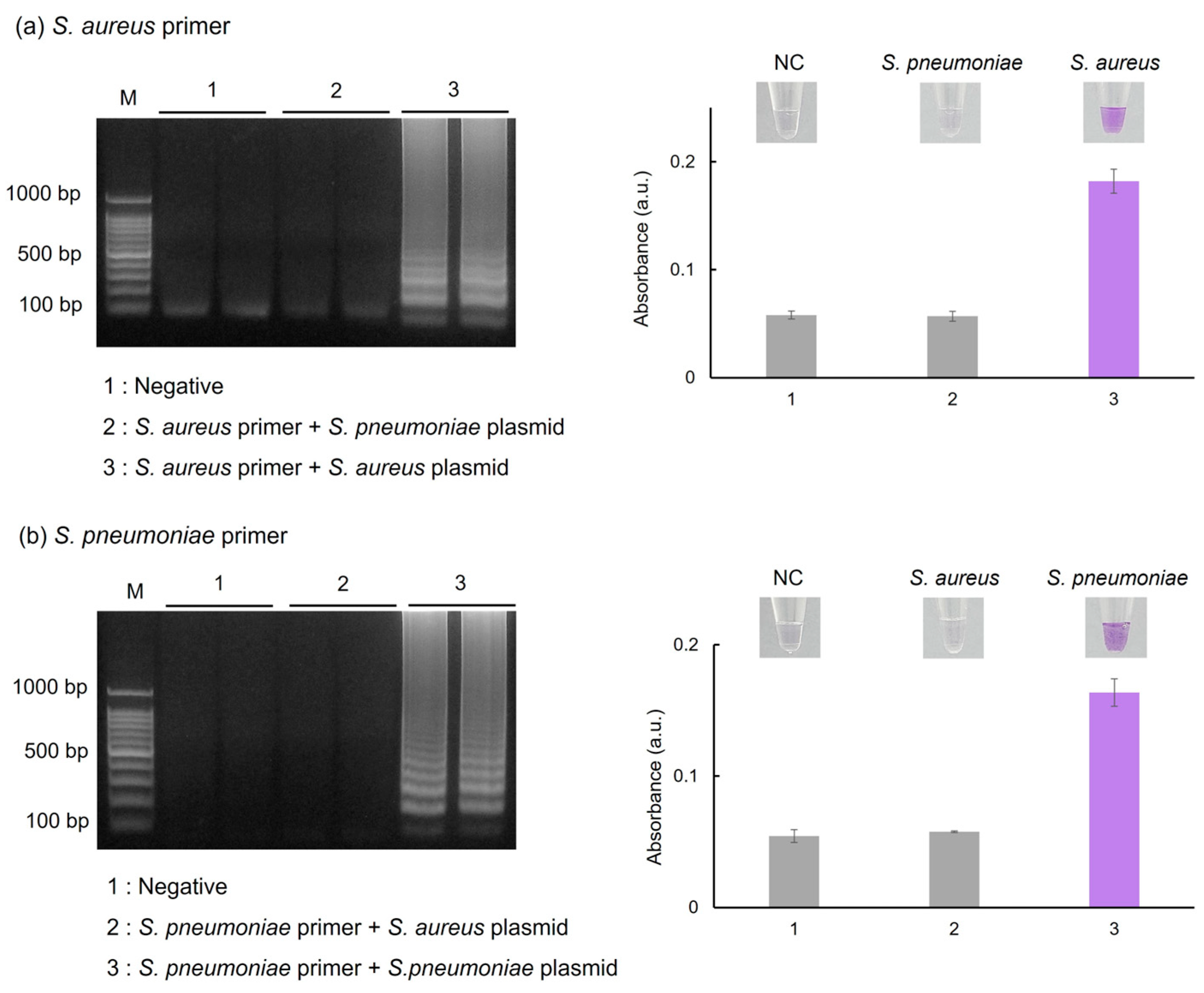 Chemosensors 12 00075 g005