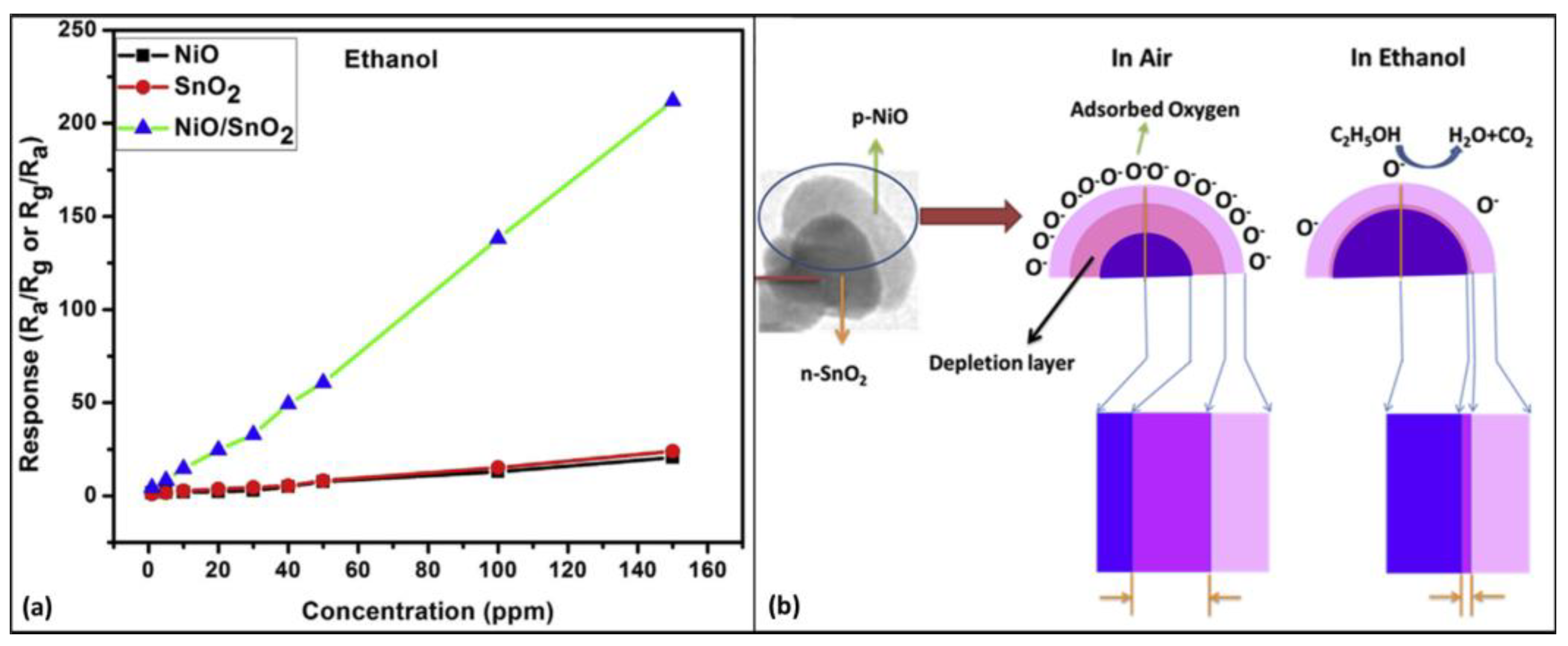 Chemosensors 12 00078 g003