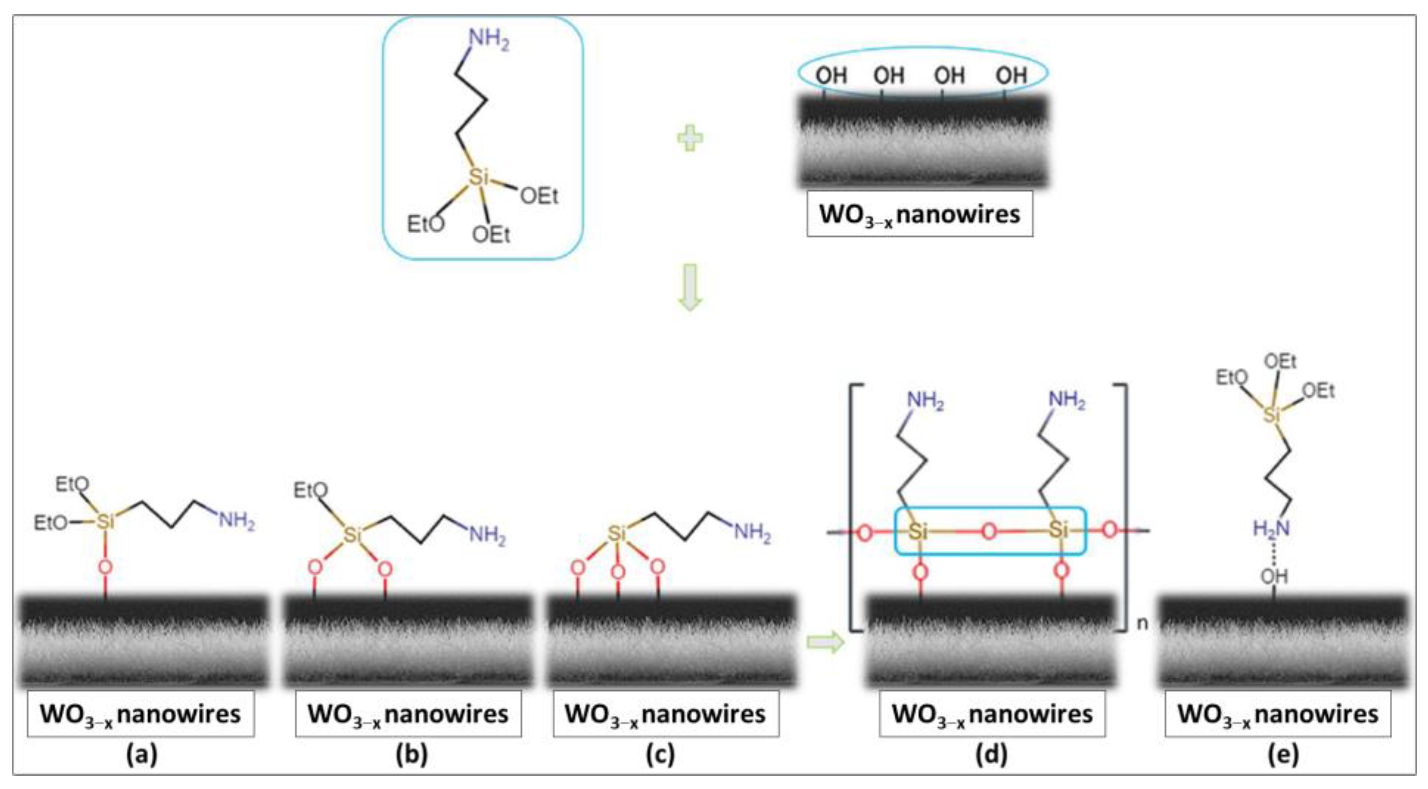 Chemosensors 12 00078 g005