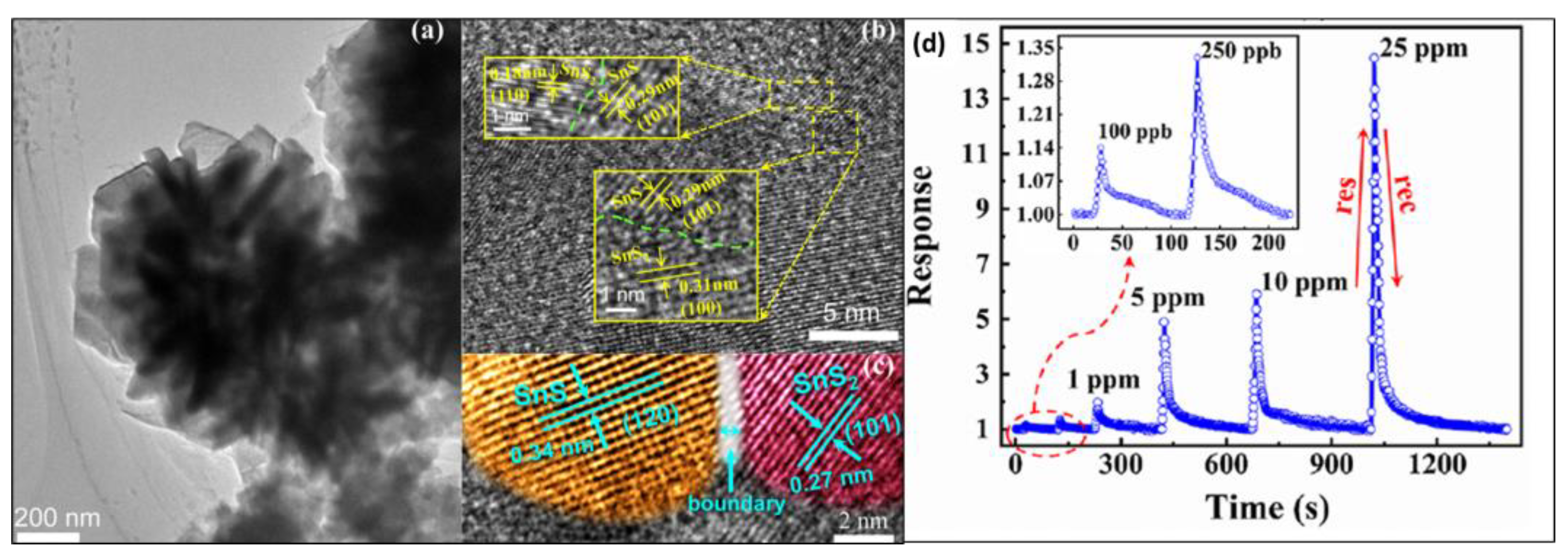 Chemosensors 12 00078 g010