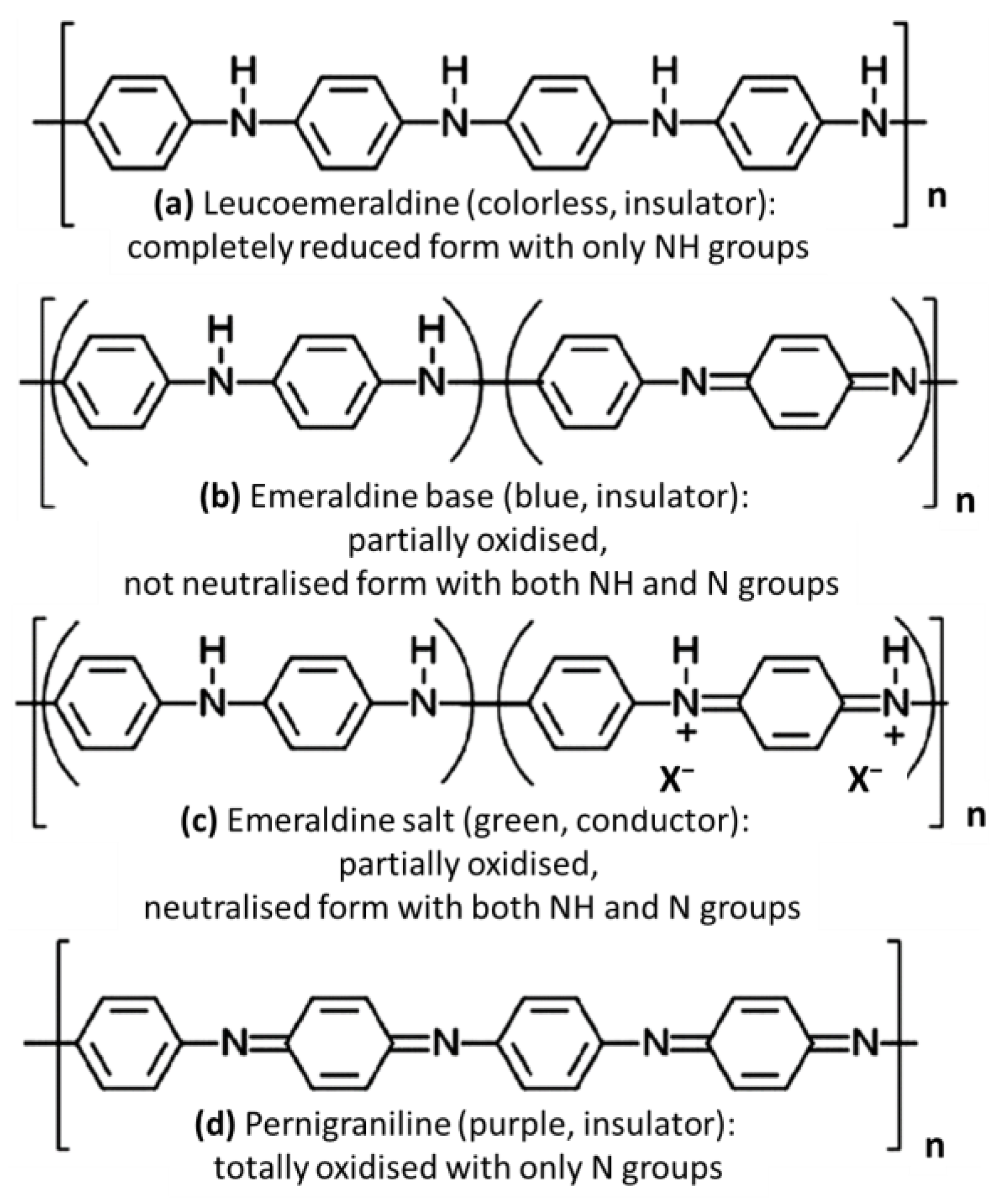 Chemosensors 12 00078 g012