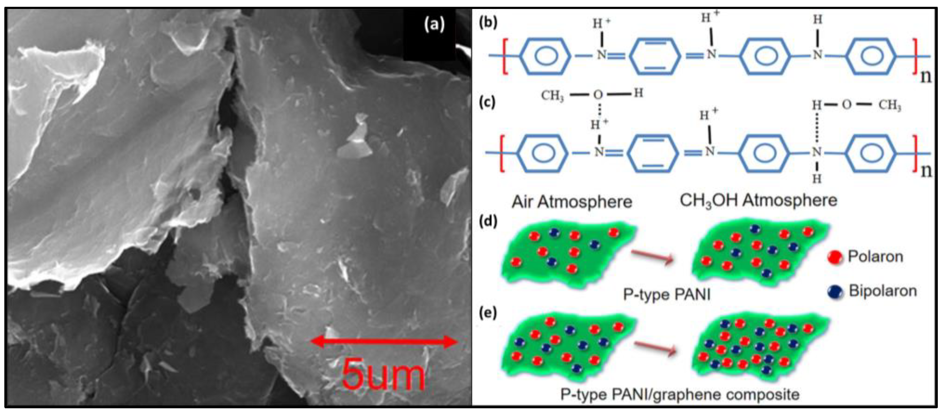Chemosensors 12 00078 g013