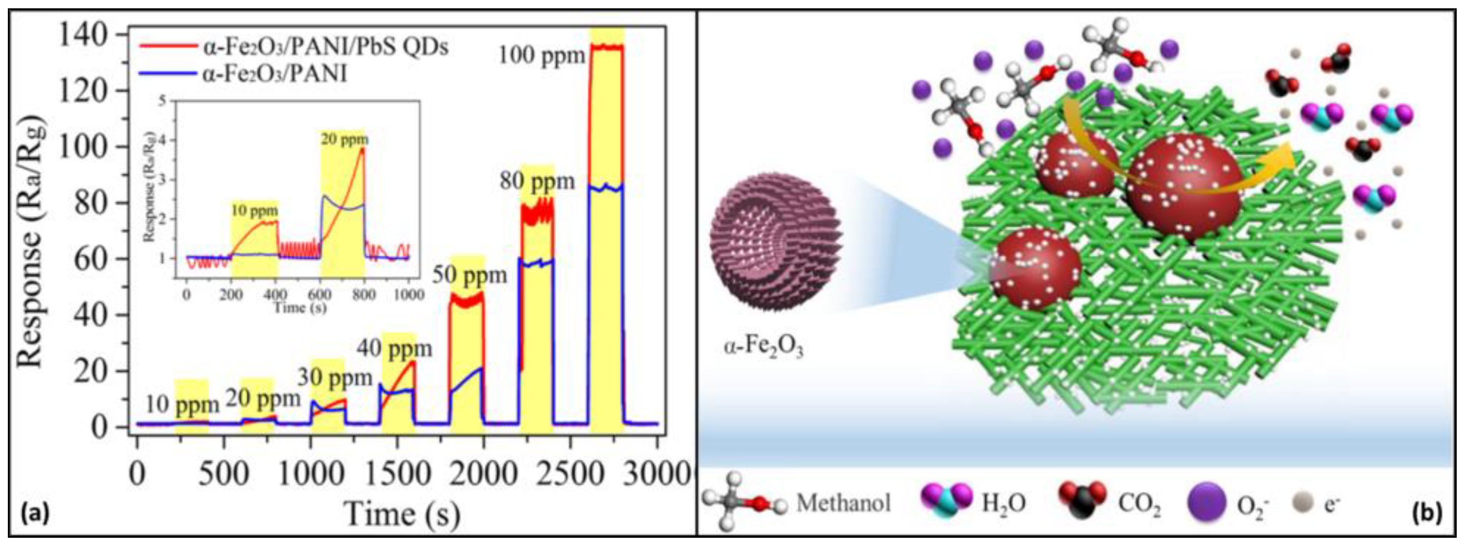 Chemosensors 12 00078 g014