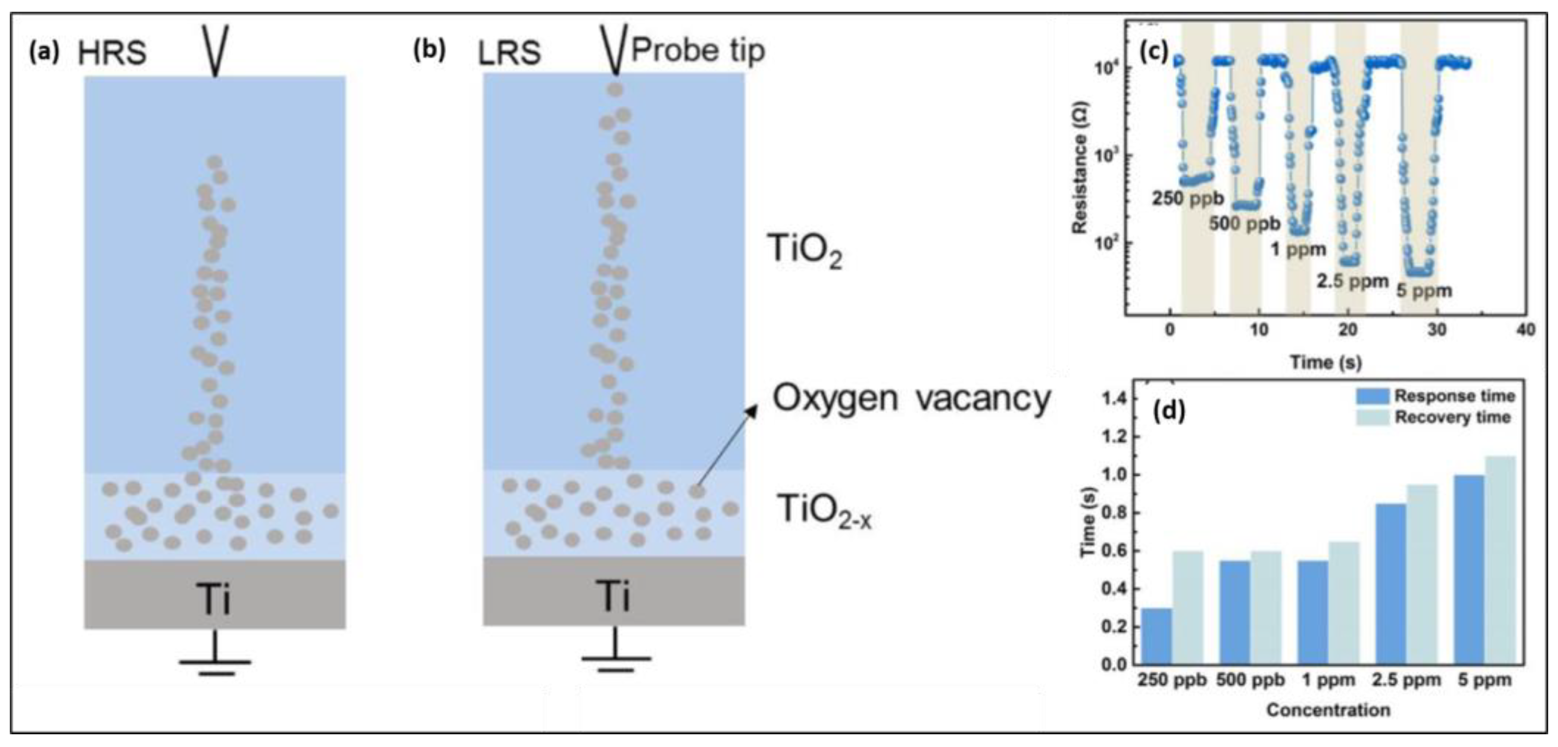 Chemosensors 12 00078 g015