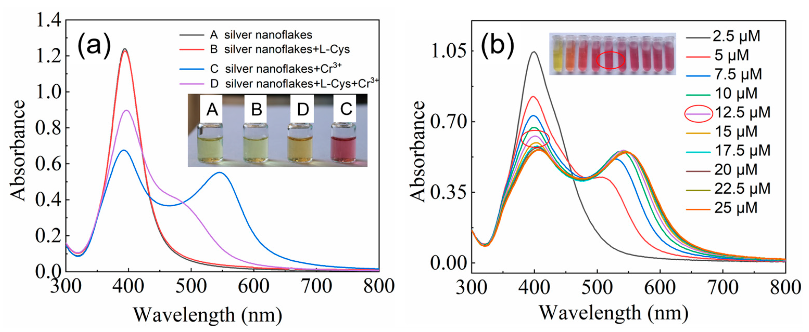 Chemosensors 12 00080 g001