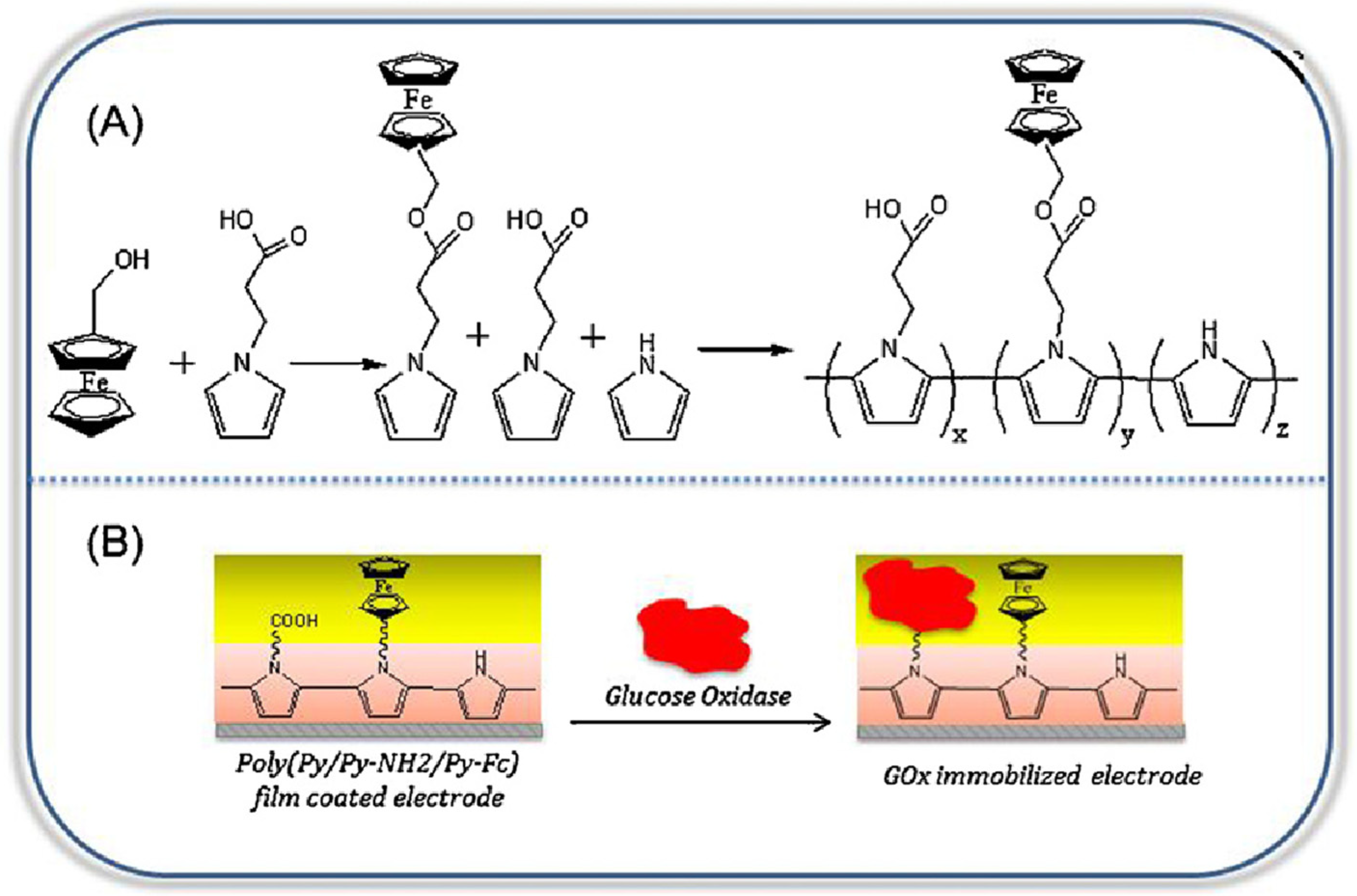 Chemosensors 12 00081 g004