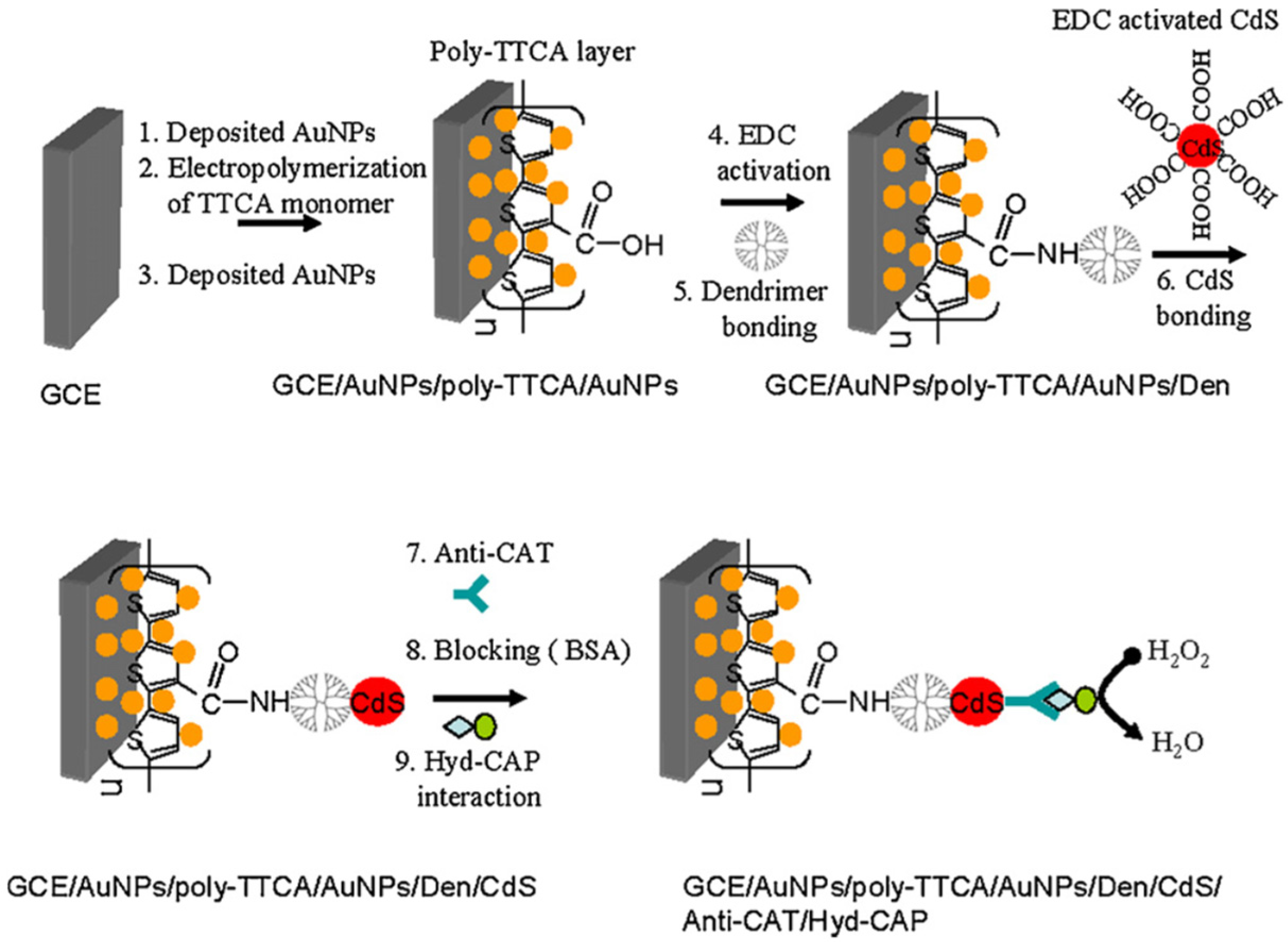 Chemosensors 12 00081 g018
