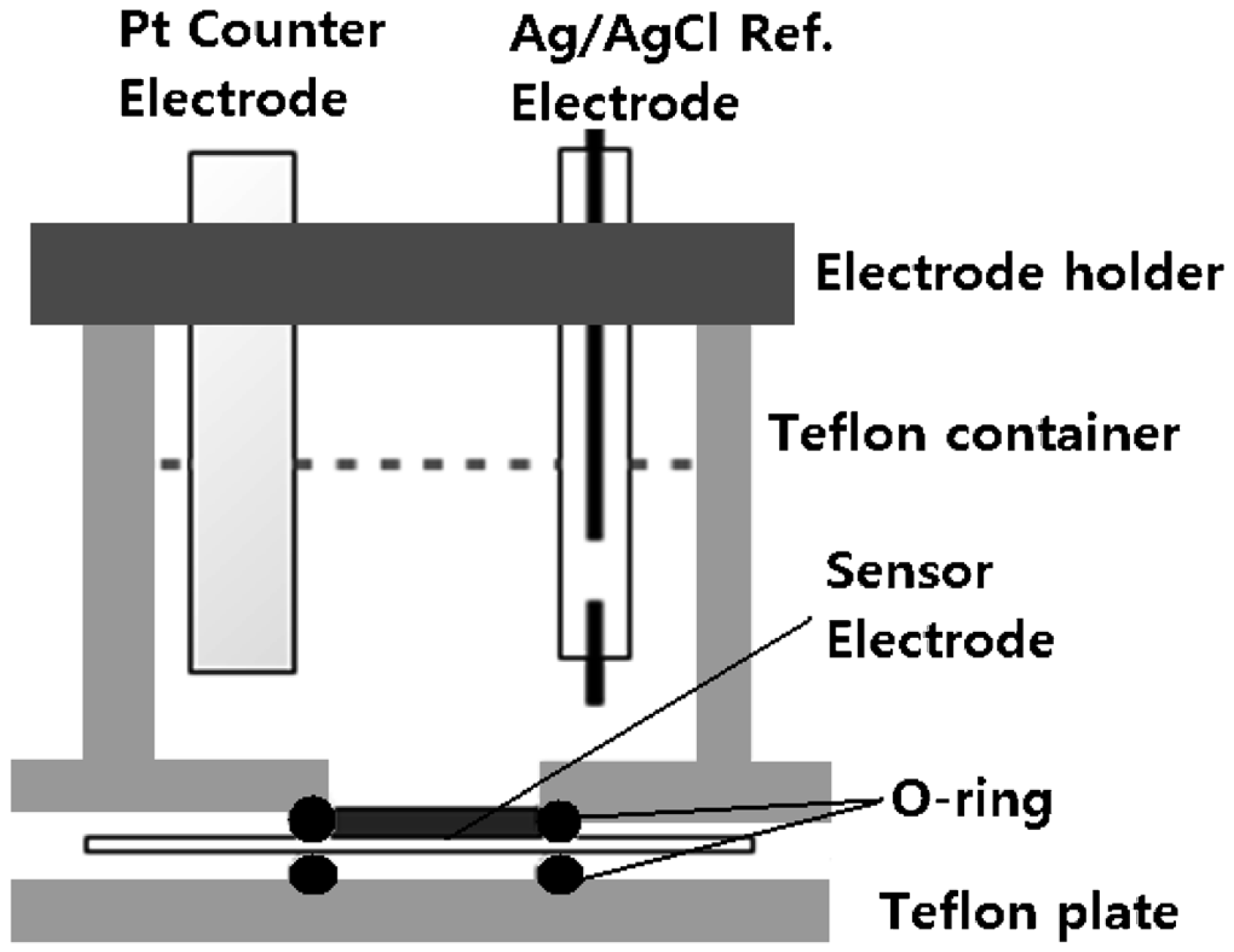 Chemosensors 12 00081 g025