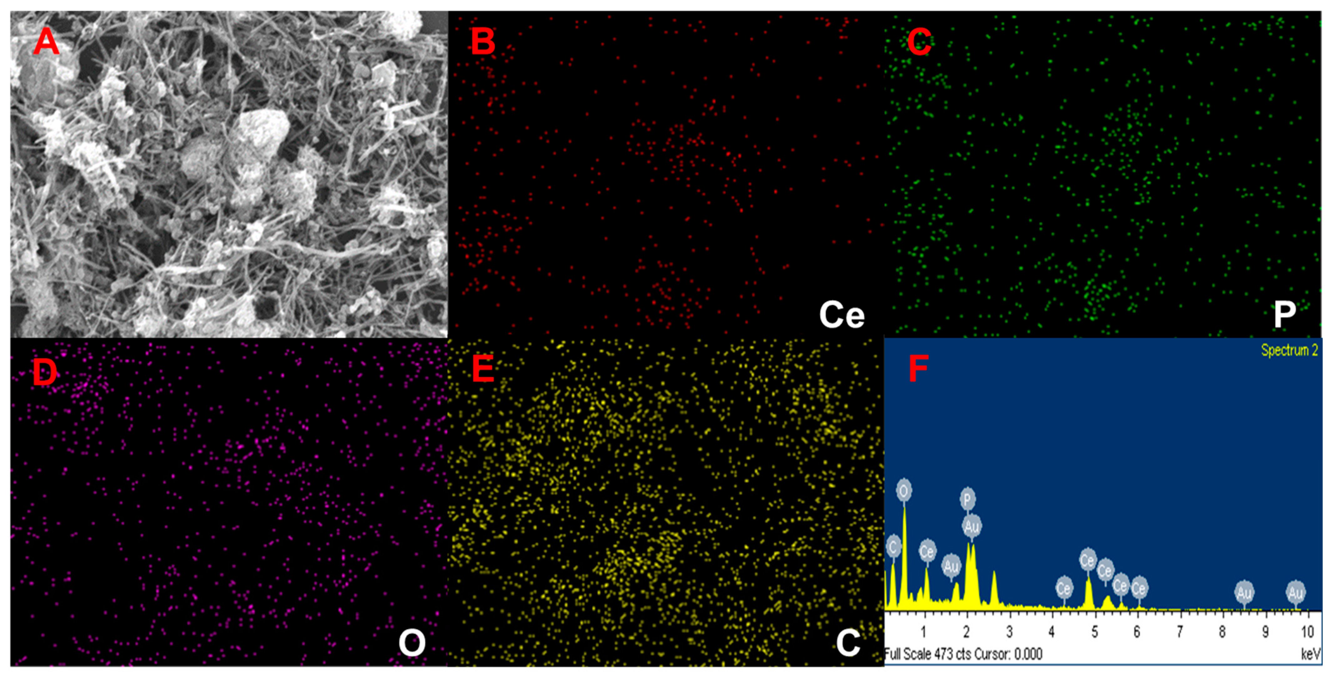 Chemosensors 12 00084 g003