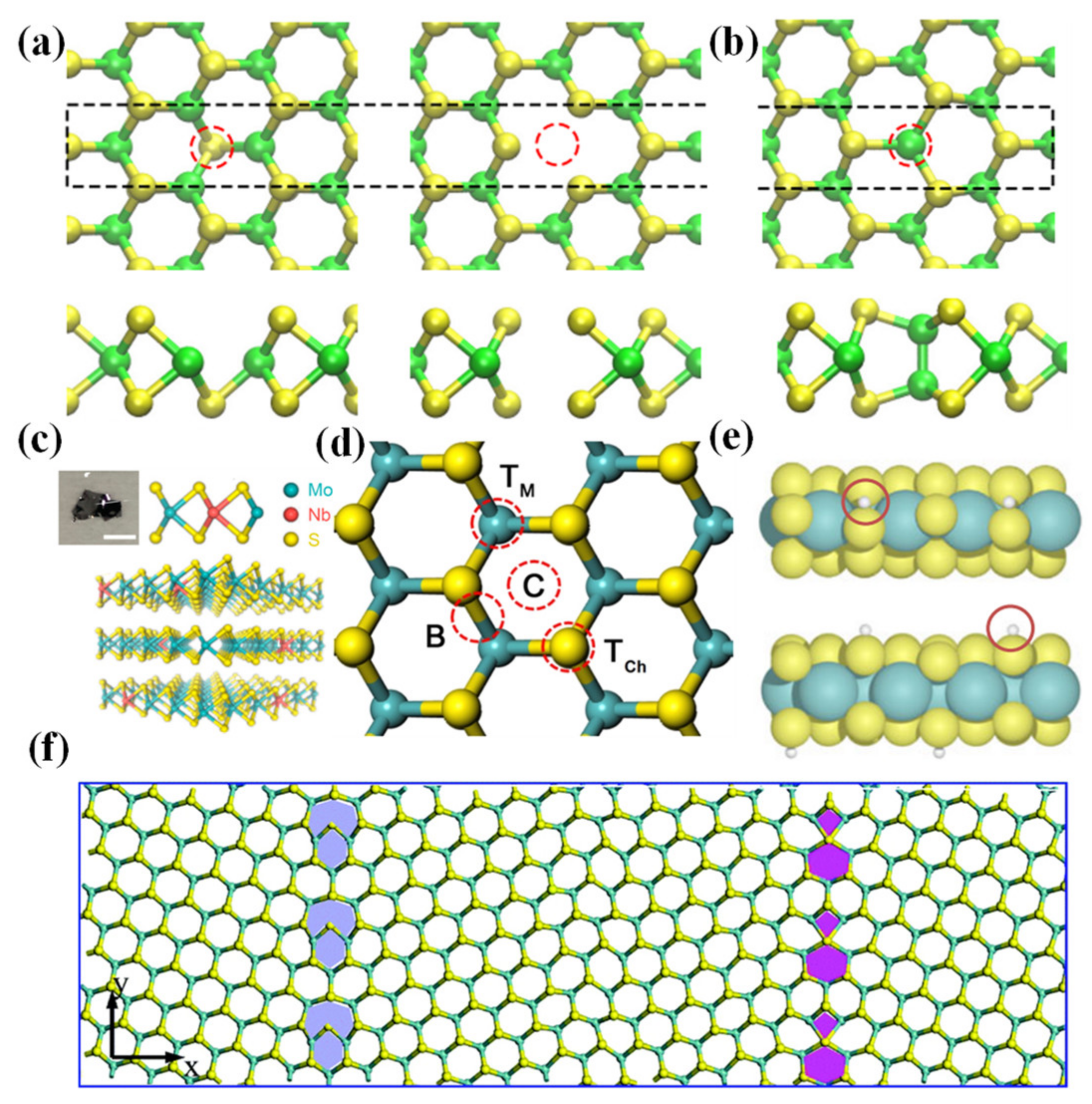 Chemosensors 12 00085 g002