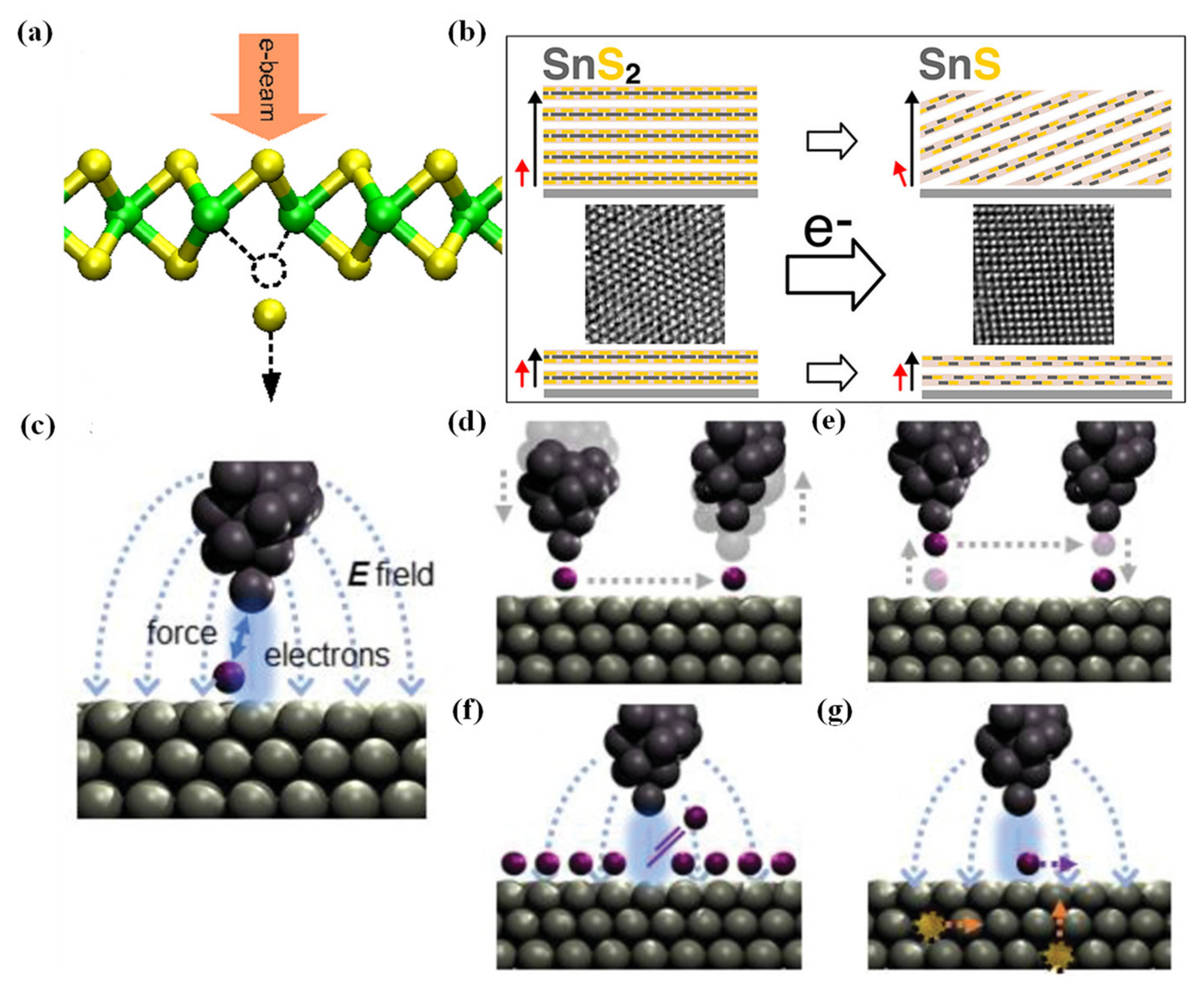 Chemosensors 12 00085 g005