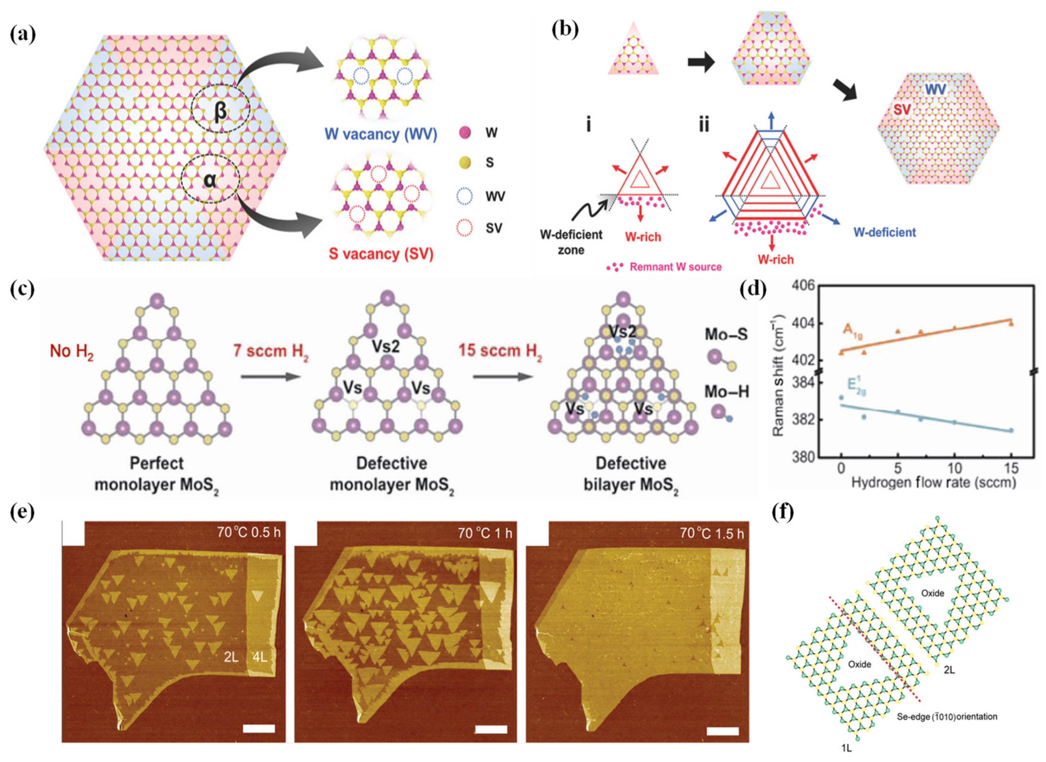 Chemosensors 12 00085 g006