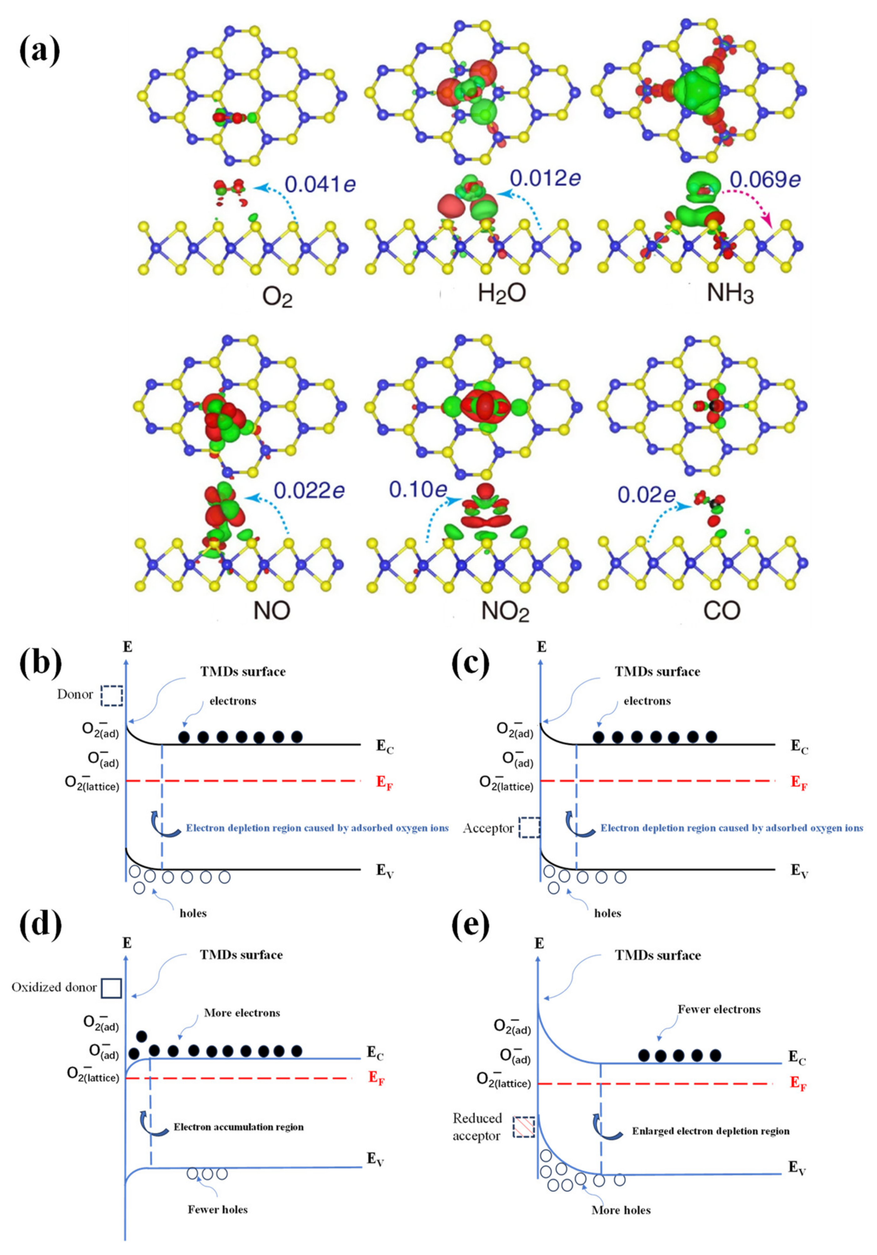 Chemosensors 12 00085 g007