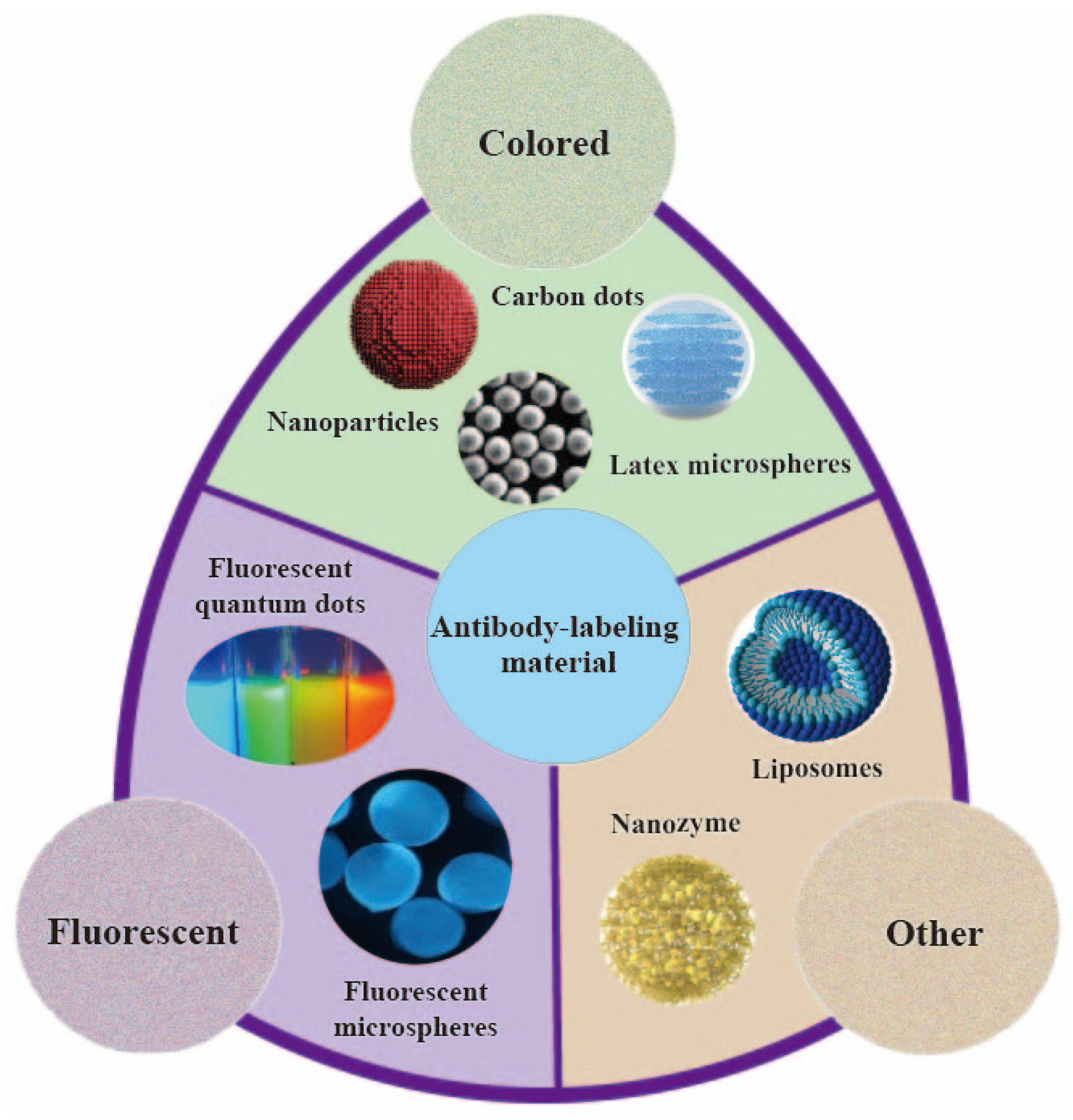 Chemosensors 12 00088 g004
