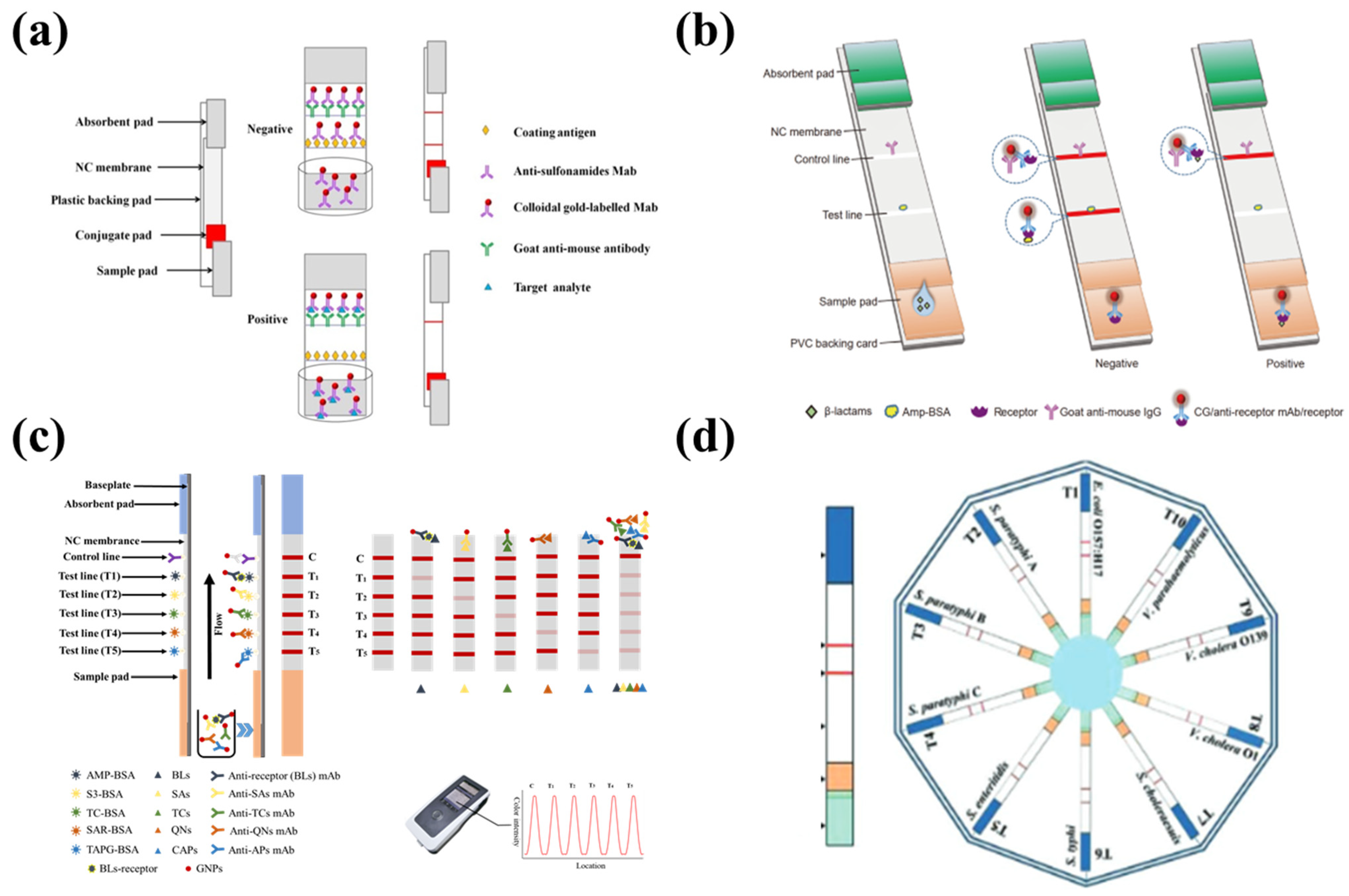 Chemosensors 12 00088 g005