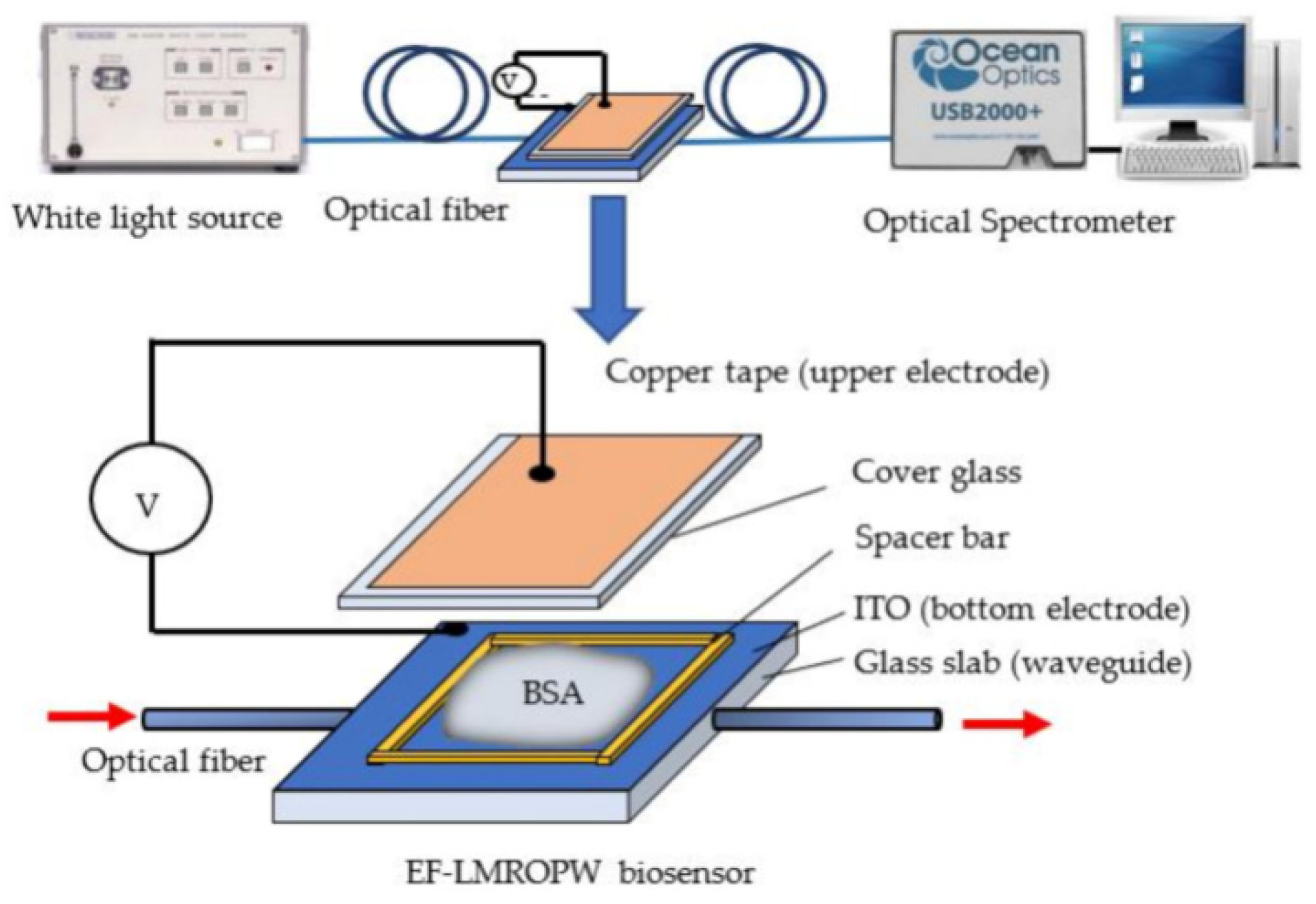 Chemosensors 12 00092 g004