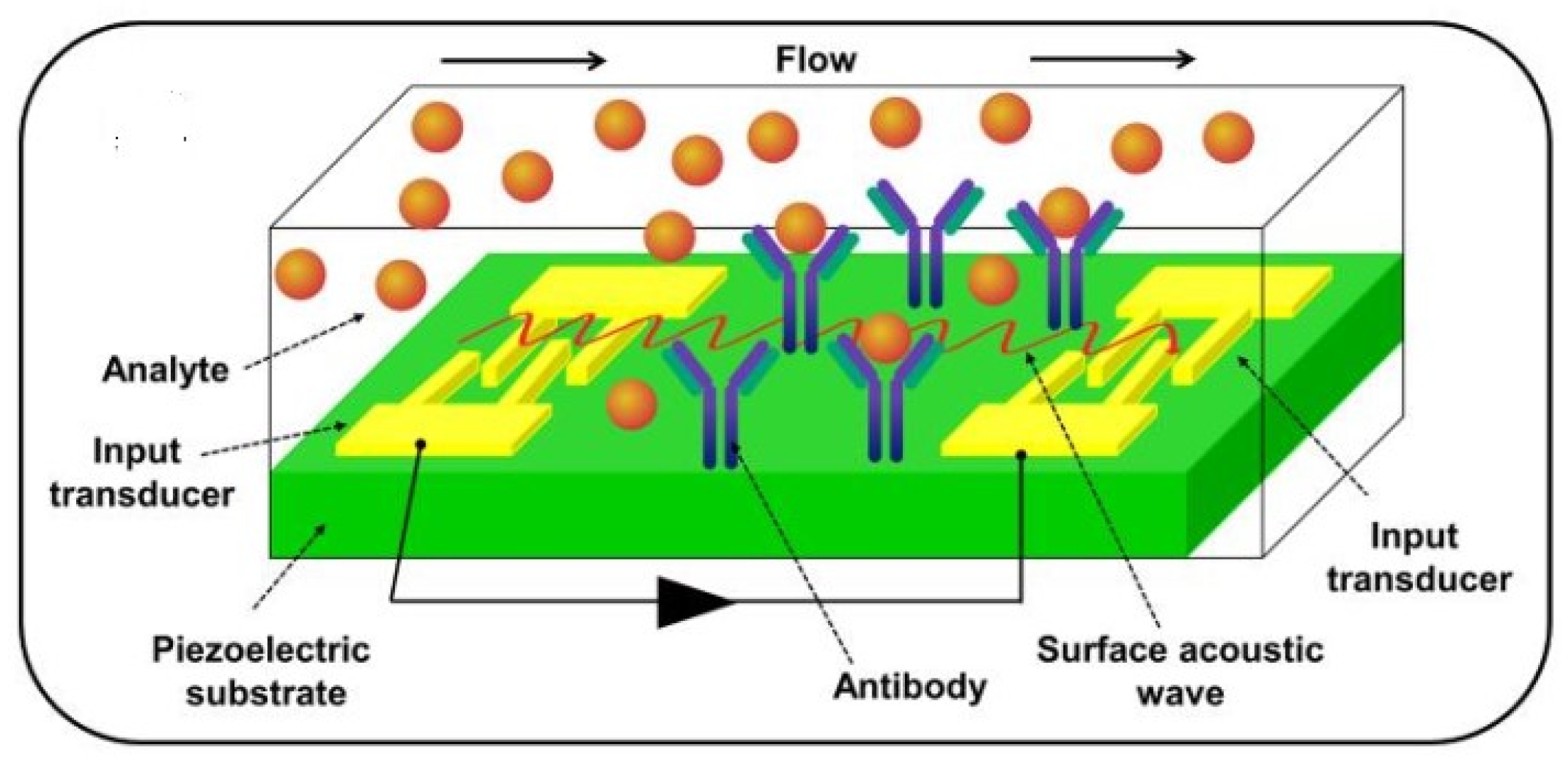 Chemosensors 12 00092 g009