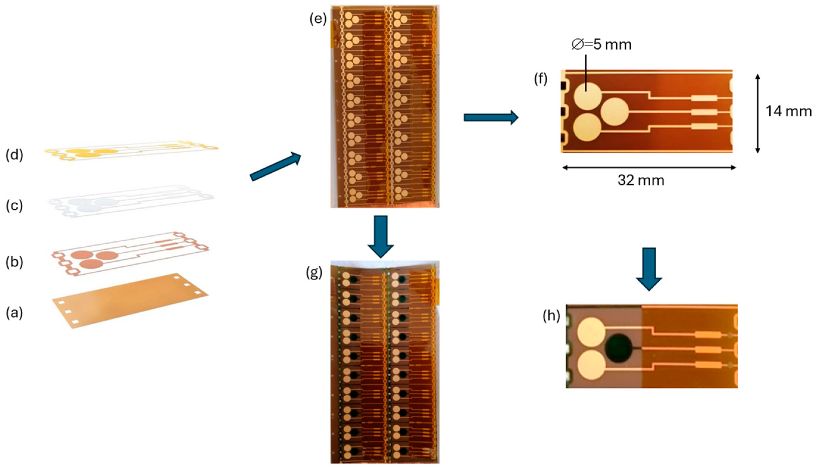 Chemosensors 12 00097 g001