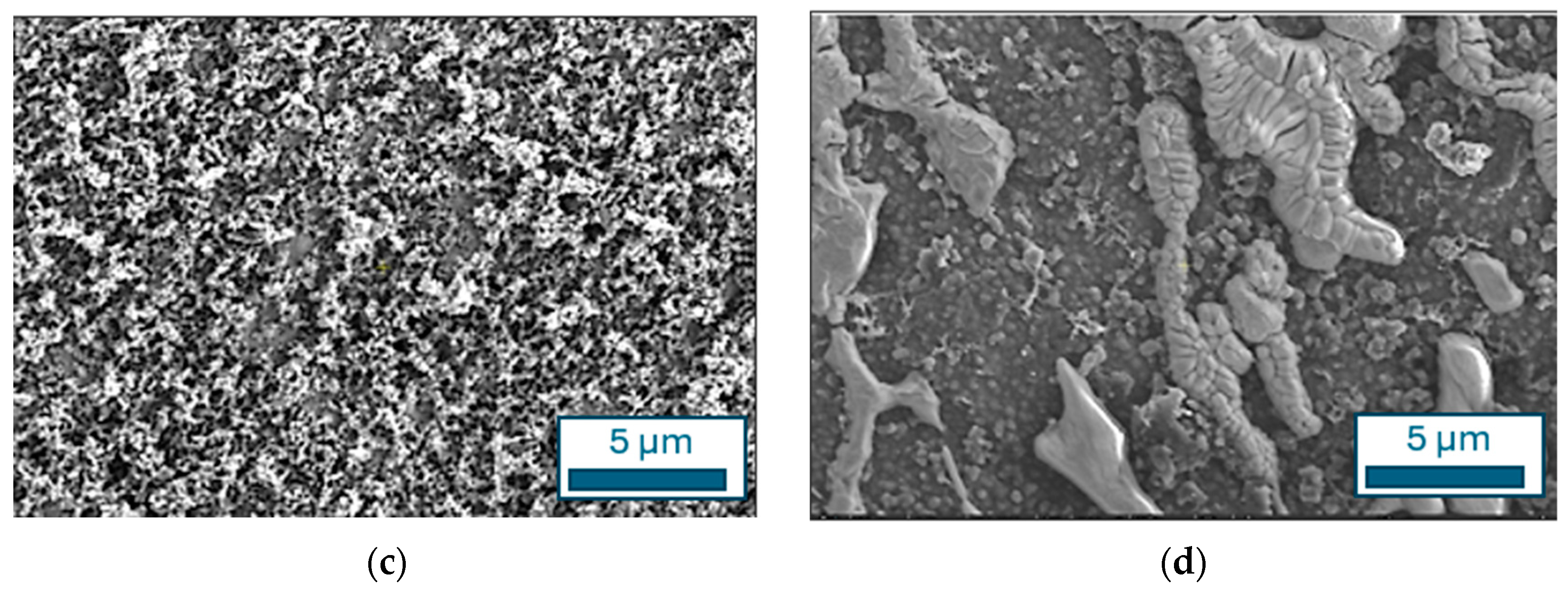 Chemosensors 12 00097 g004b