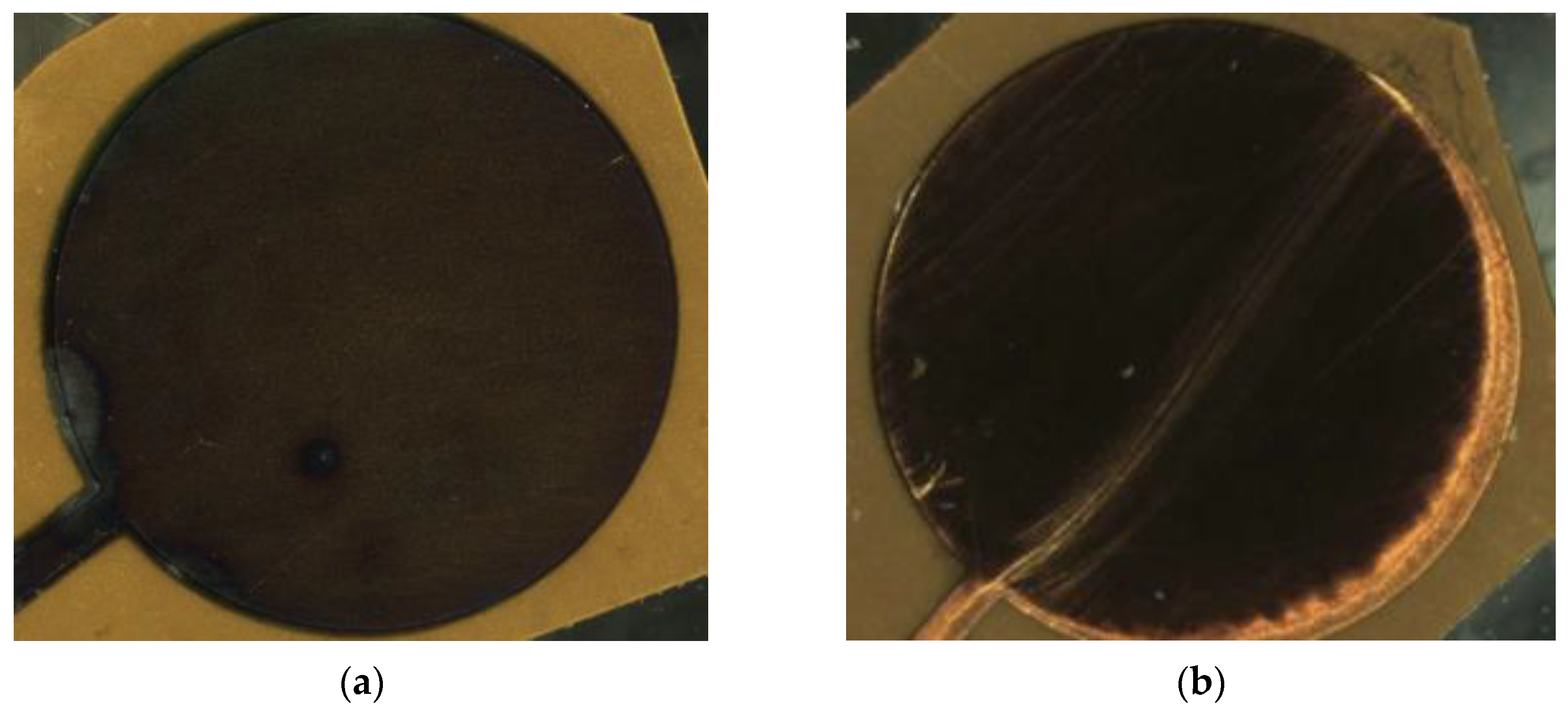 Chemosensors 12 00097 g008