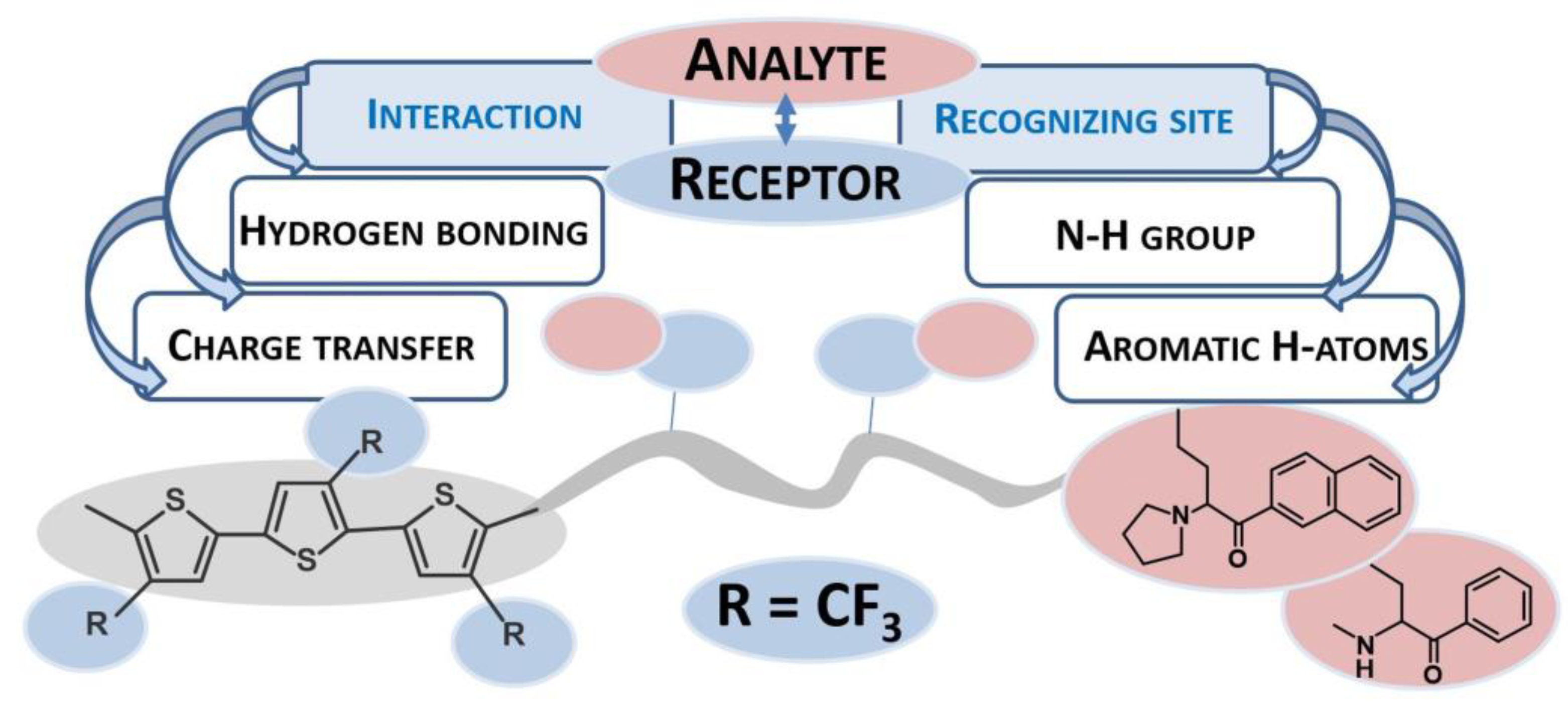 Chemosensors 12 00099 sch001