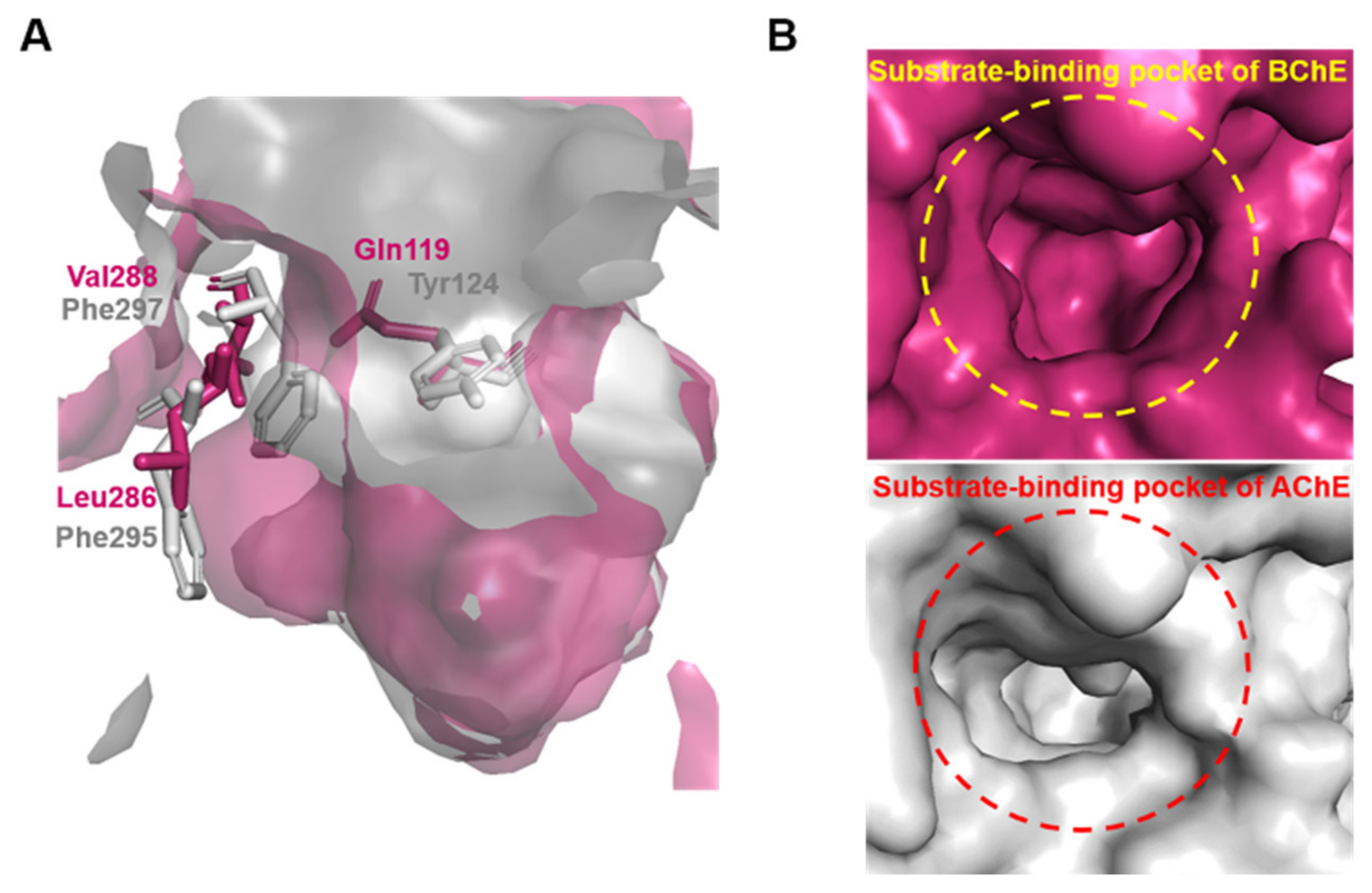 Chemosensors 12 00100 g001