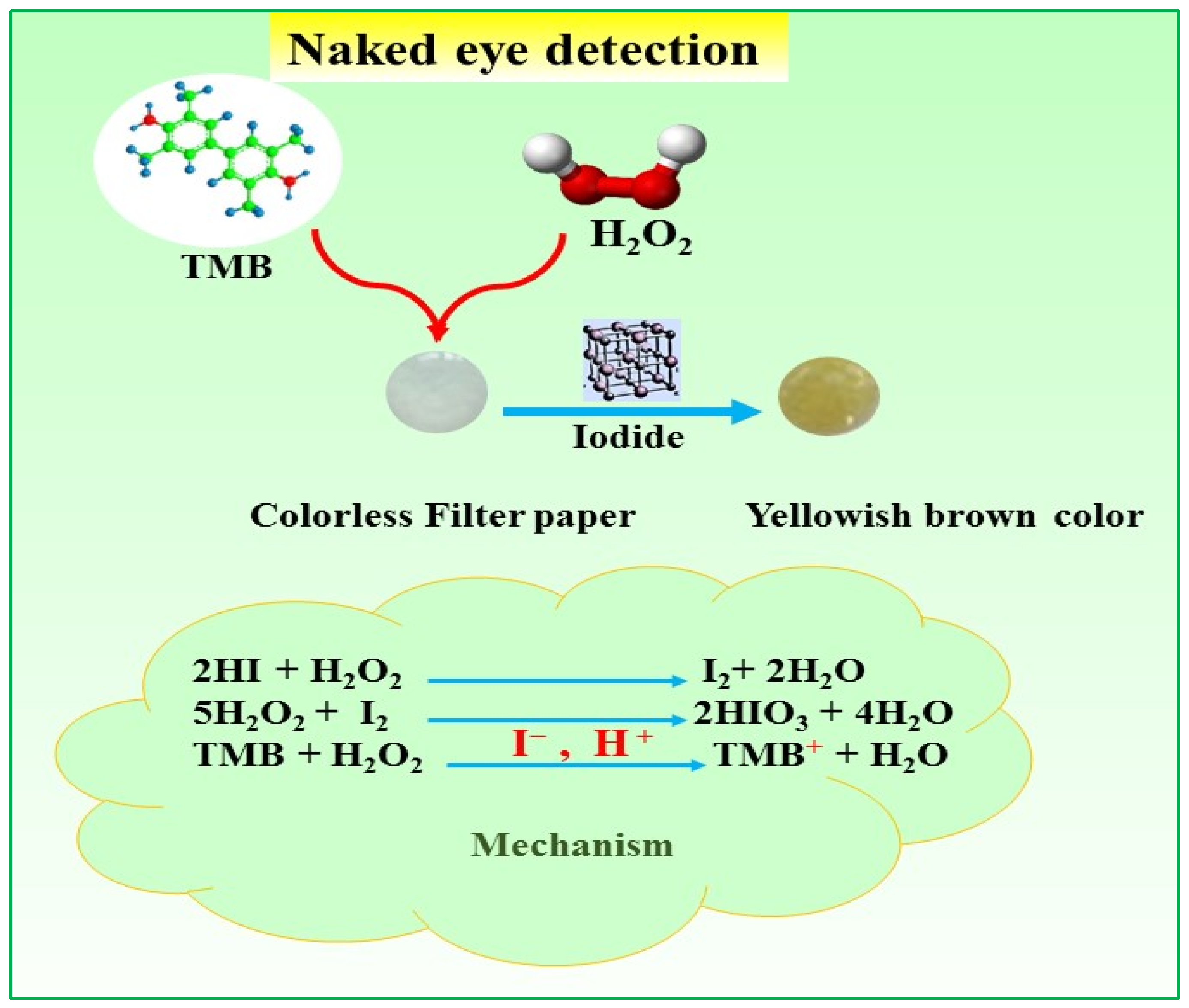 Chemosensors 12 00102 g001