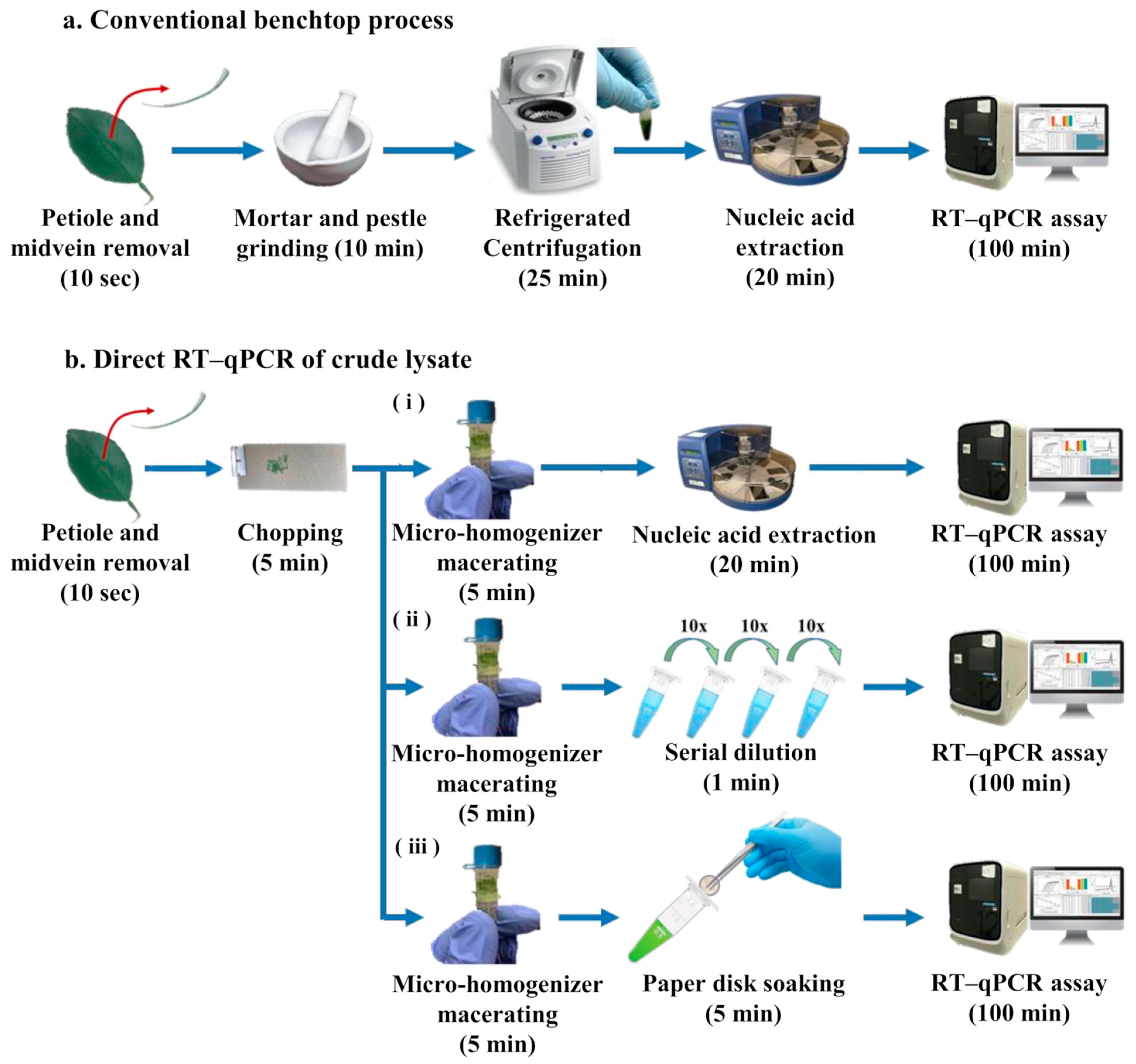 Chemosensors 12 00105 g001