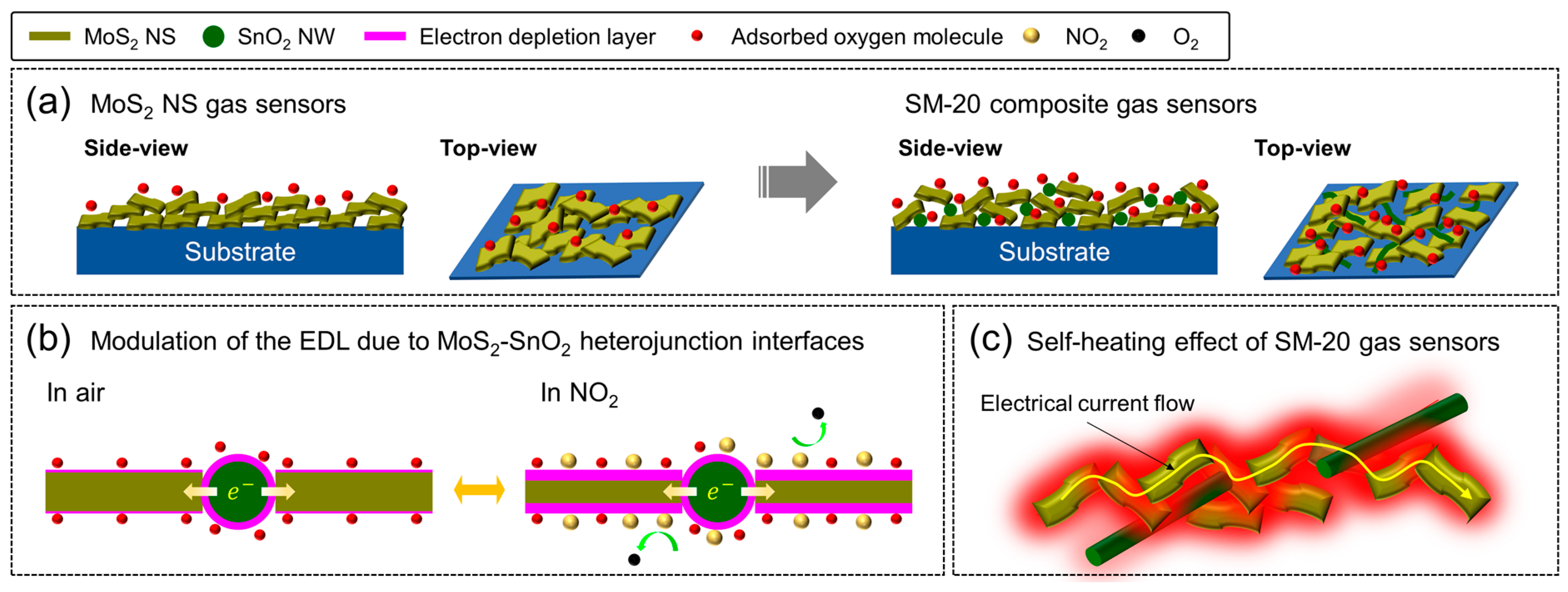 Chemosensors 12 00107 g007