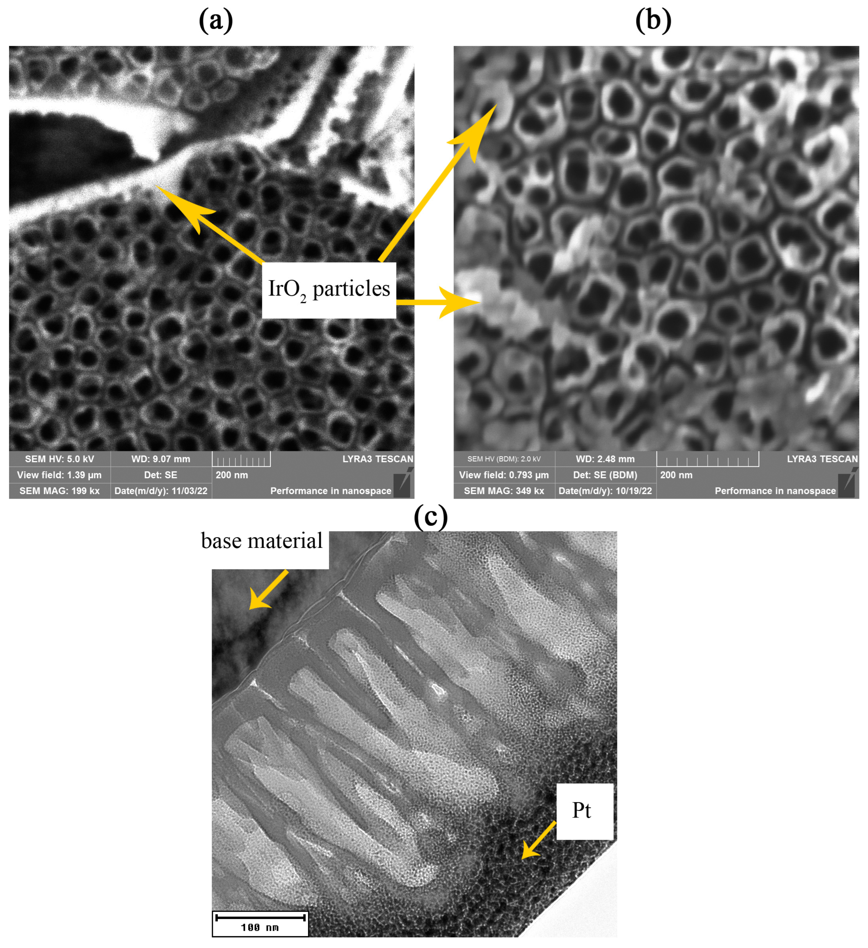 Chemosensors 12 00109 g005