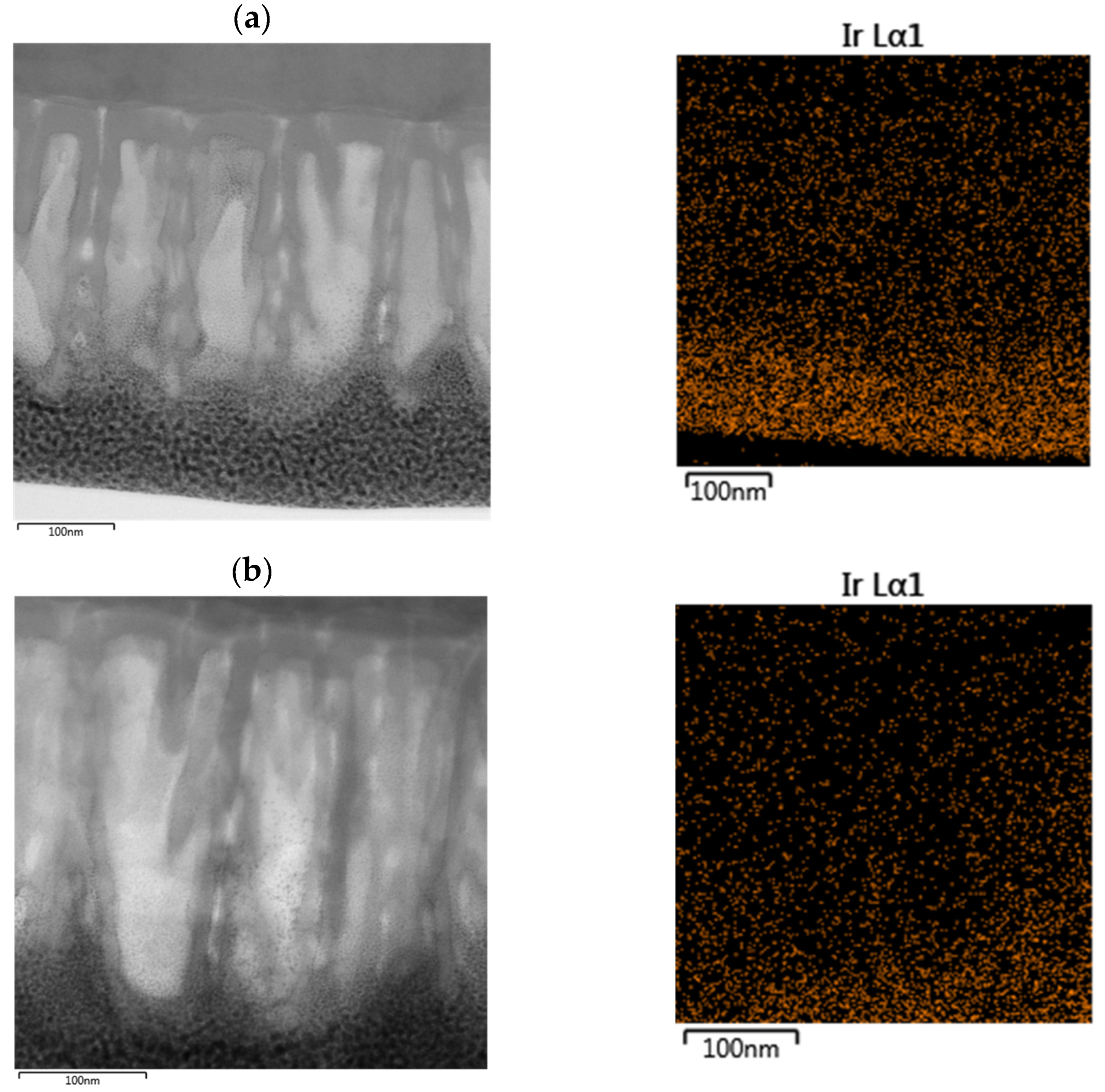 Chemosensors 12 00109 g006