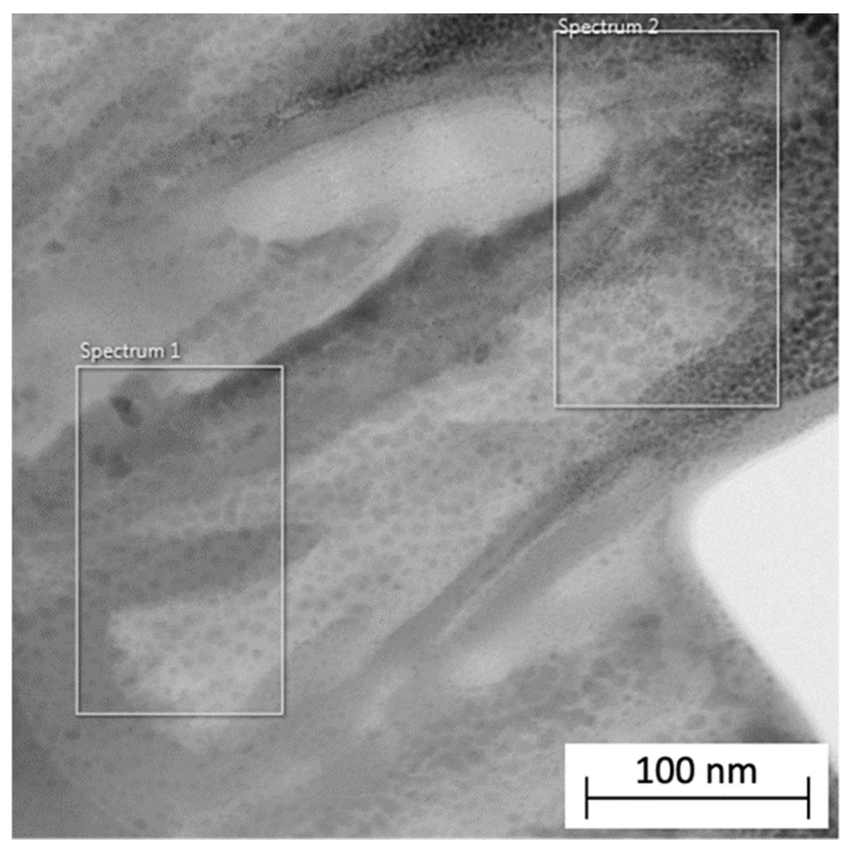 Chemosensors 12 00109 g007