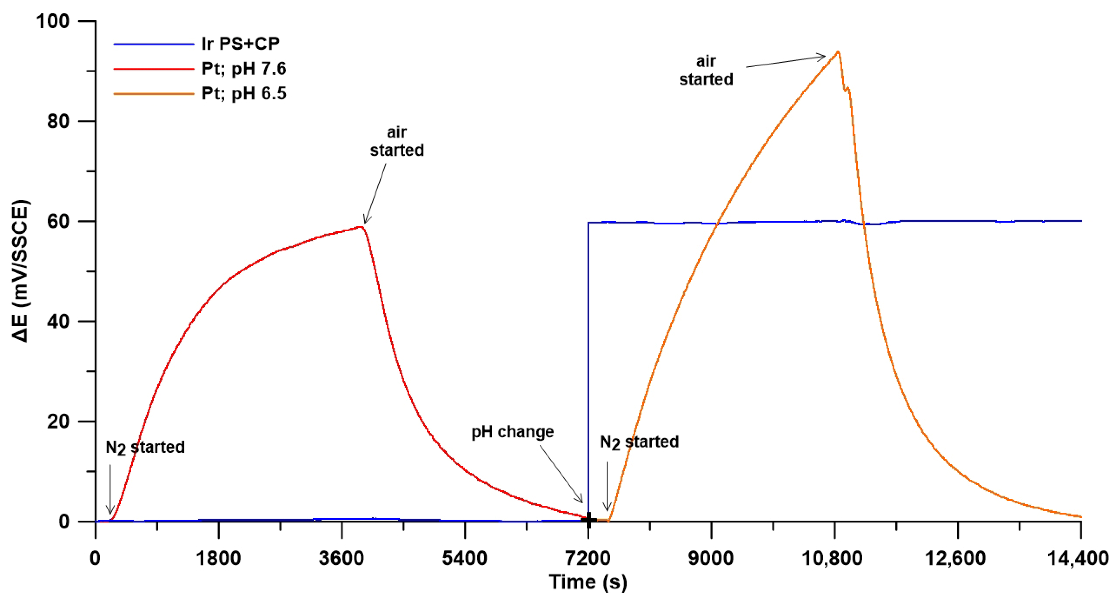Chemosensors 12 00109 g015