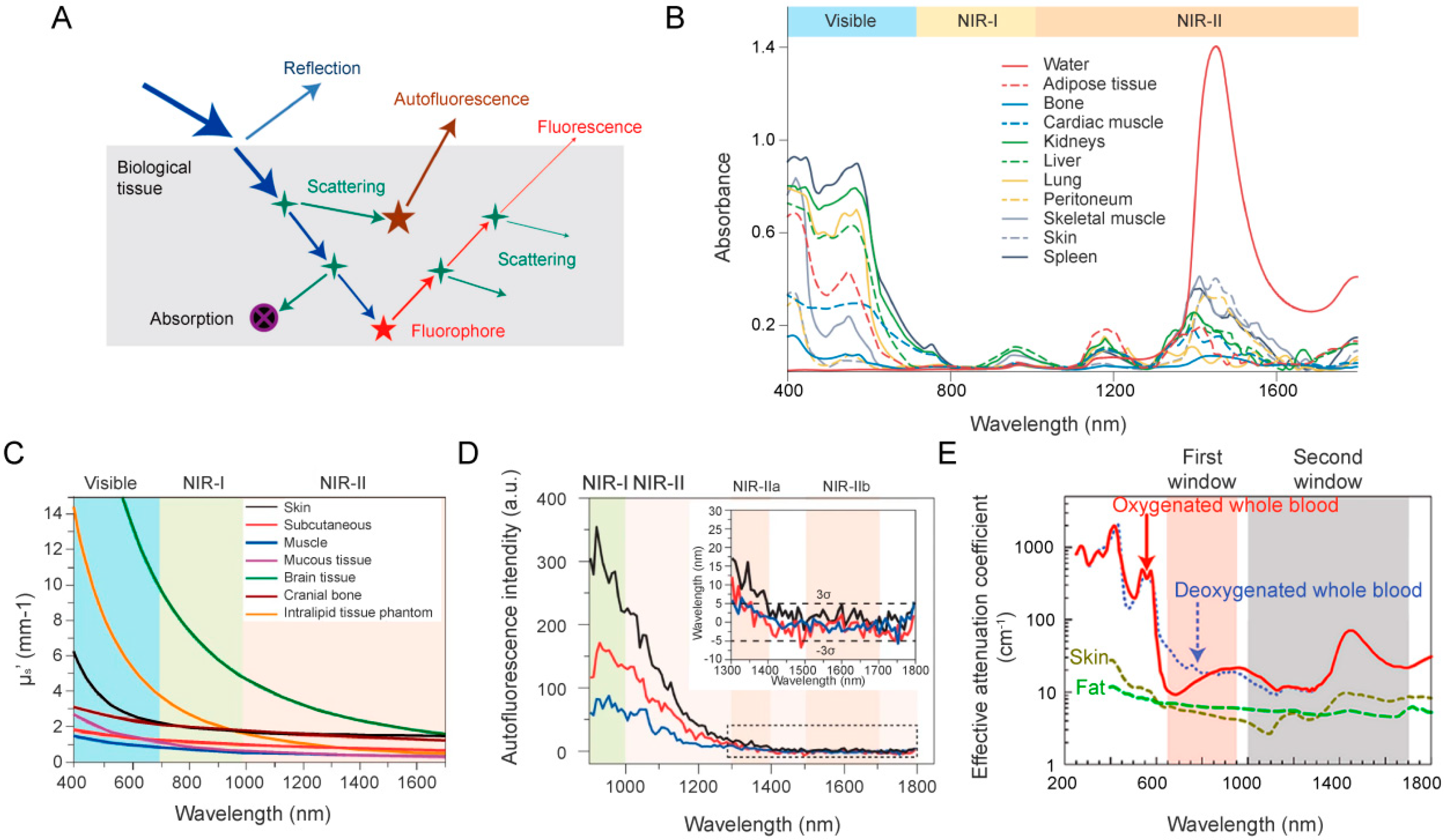 Chemosensors 12 00113 g001