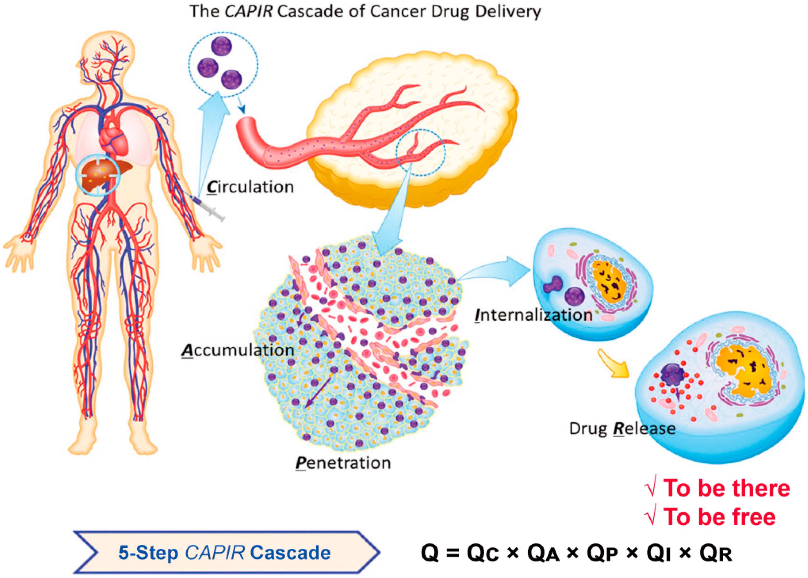 Chemosensors 12 00113 g003