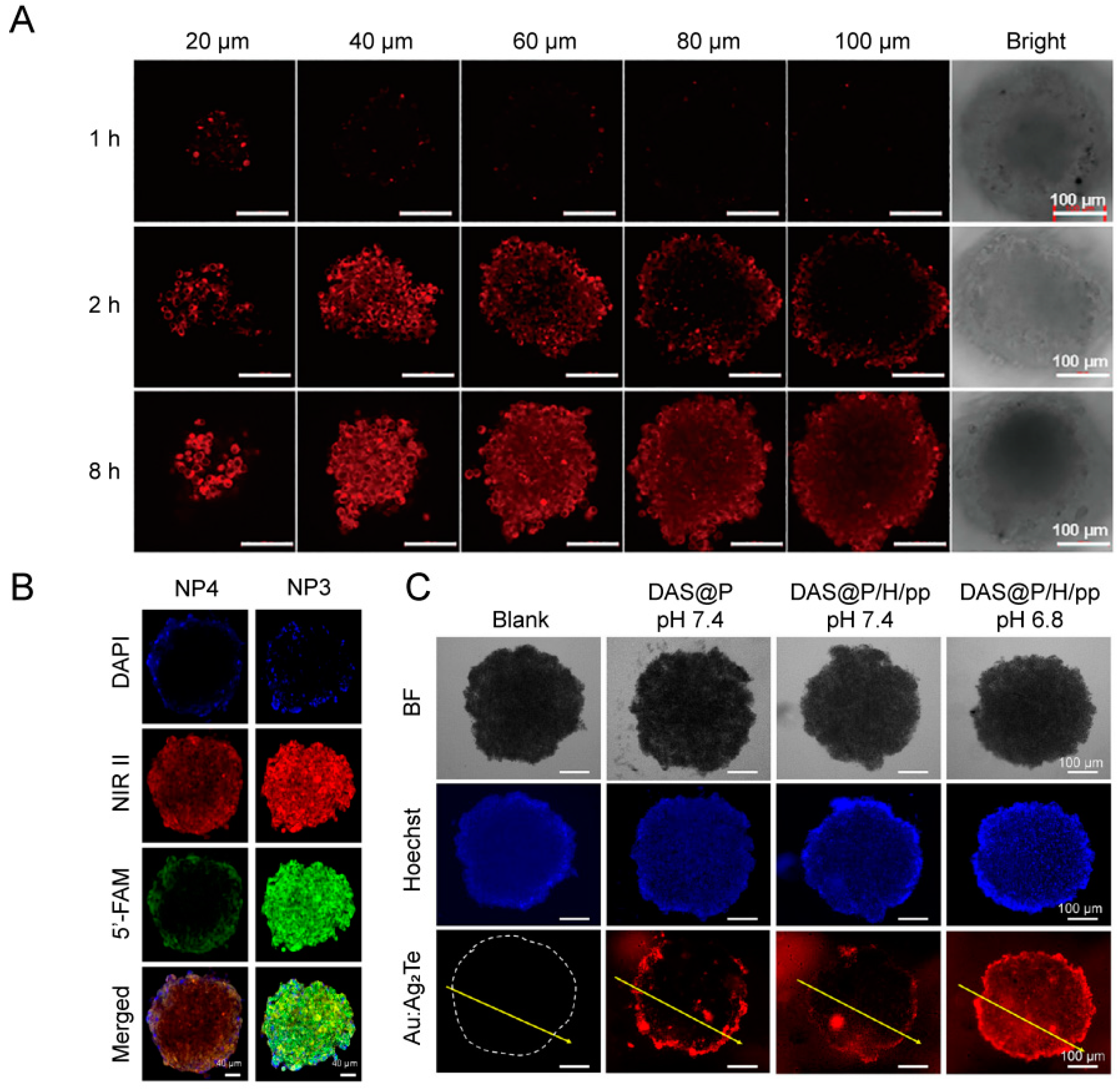 Chemosensors 12 00113 g006