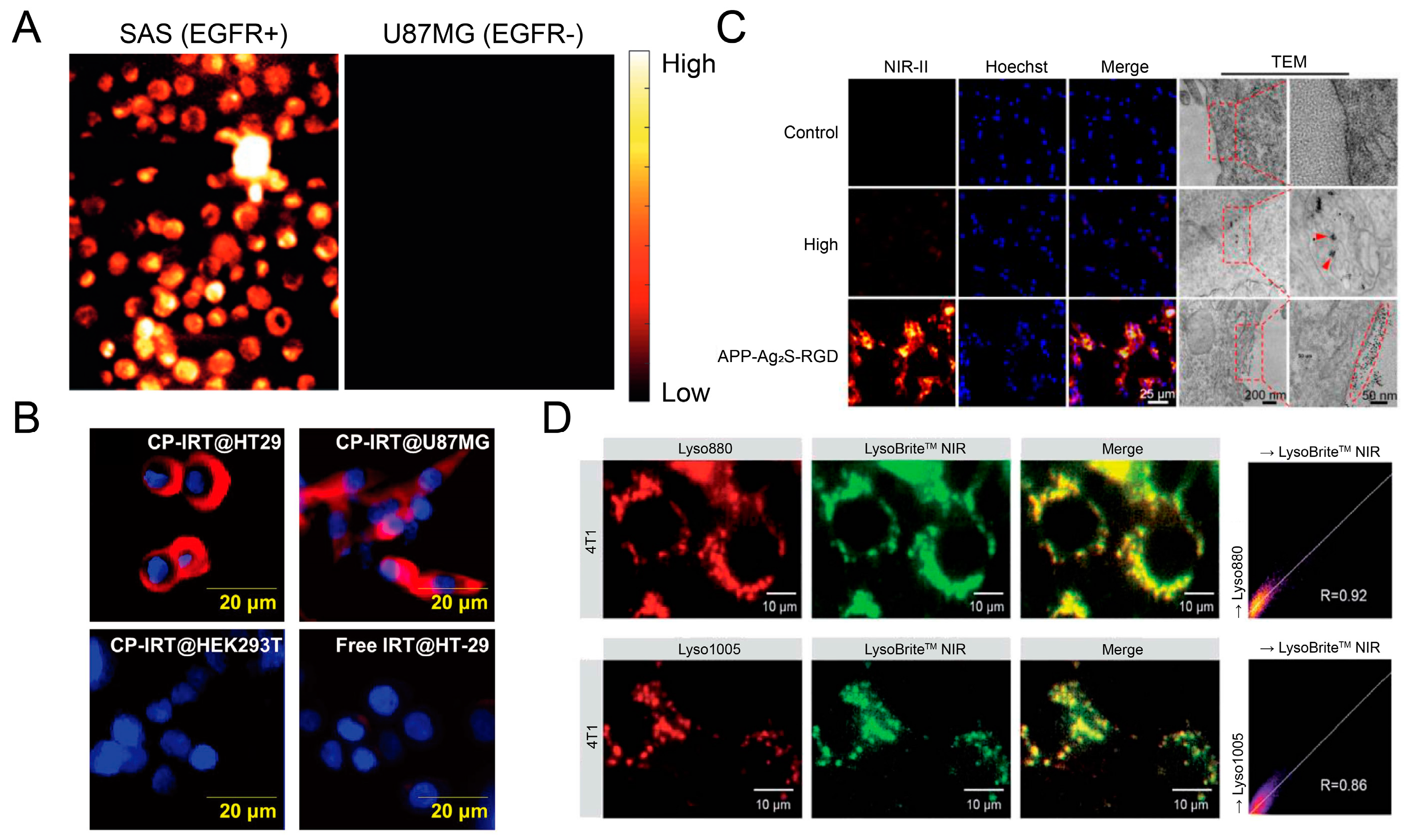 Chemosensors 12 00113 g007