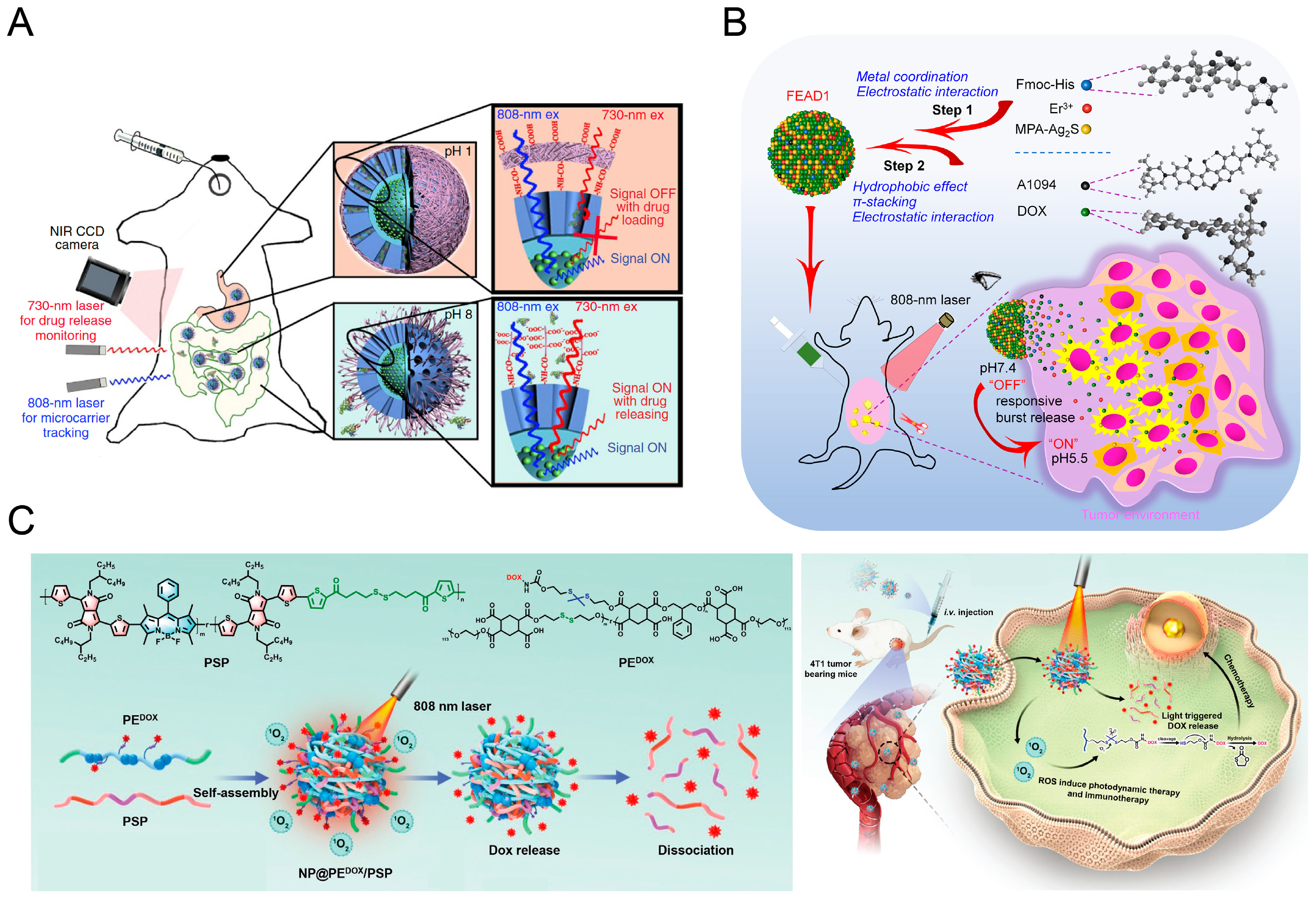 Chemosensors 12 00113 g008