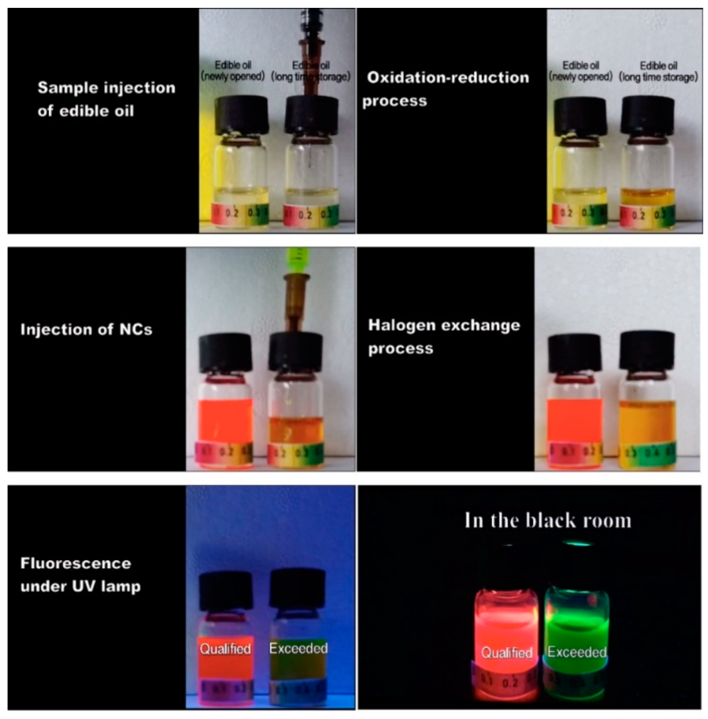 Chemosensors 12 00114 g007