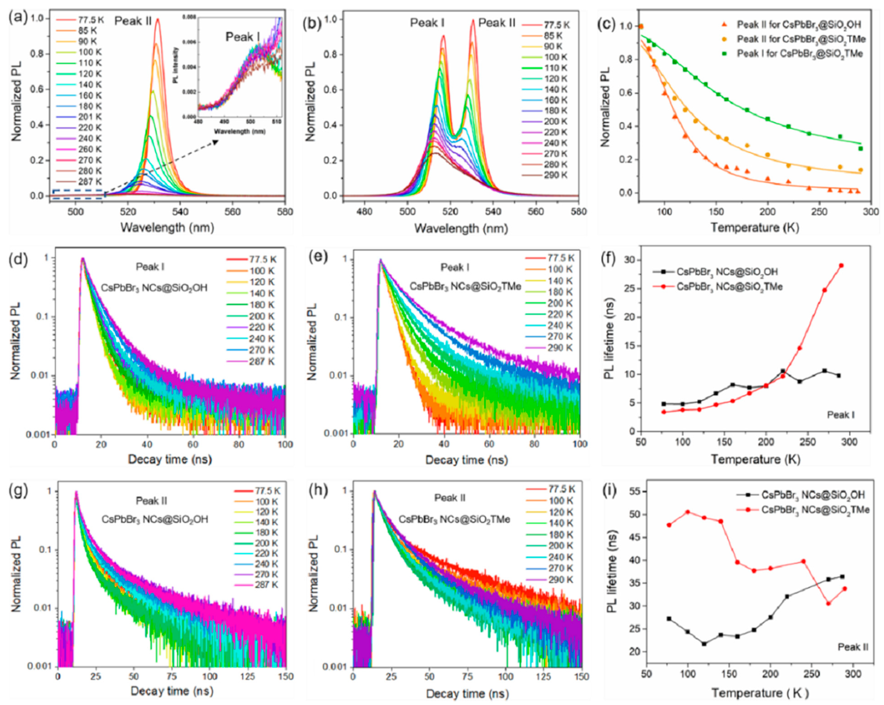 Chemosensors 12 00114 g010