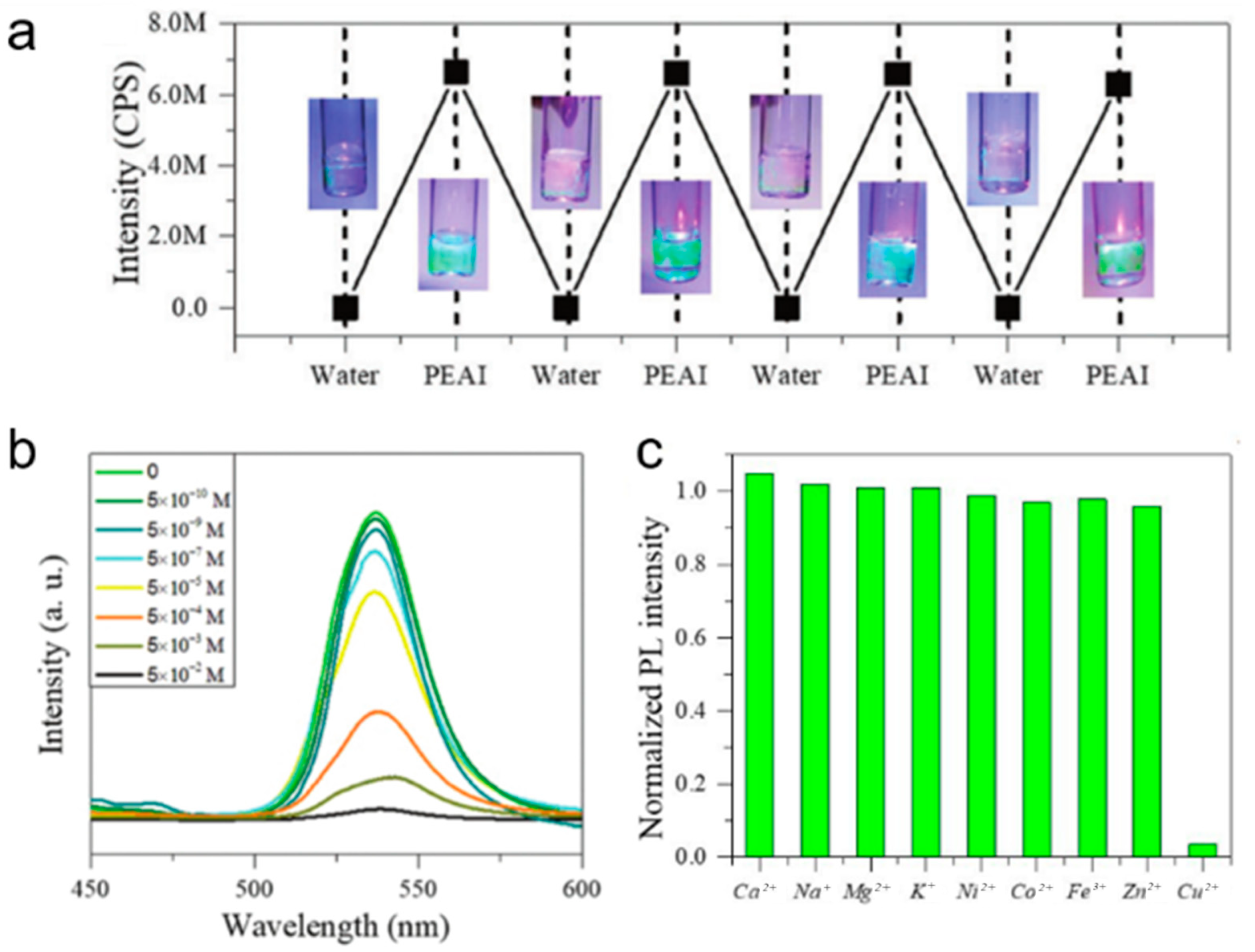 Chemosensors 12 00114 g015