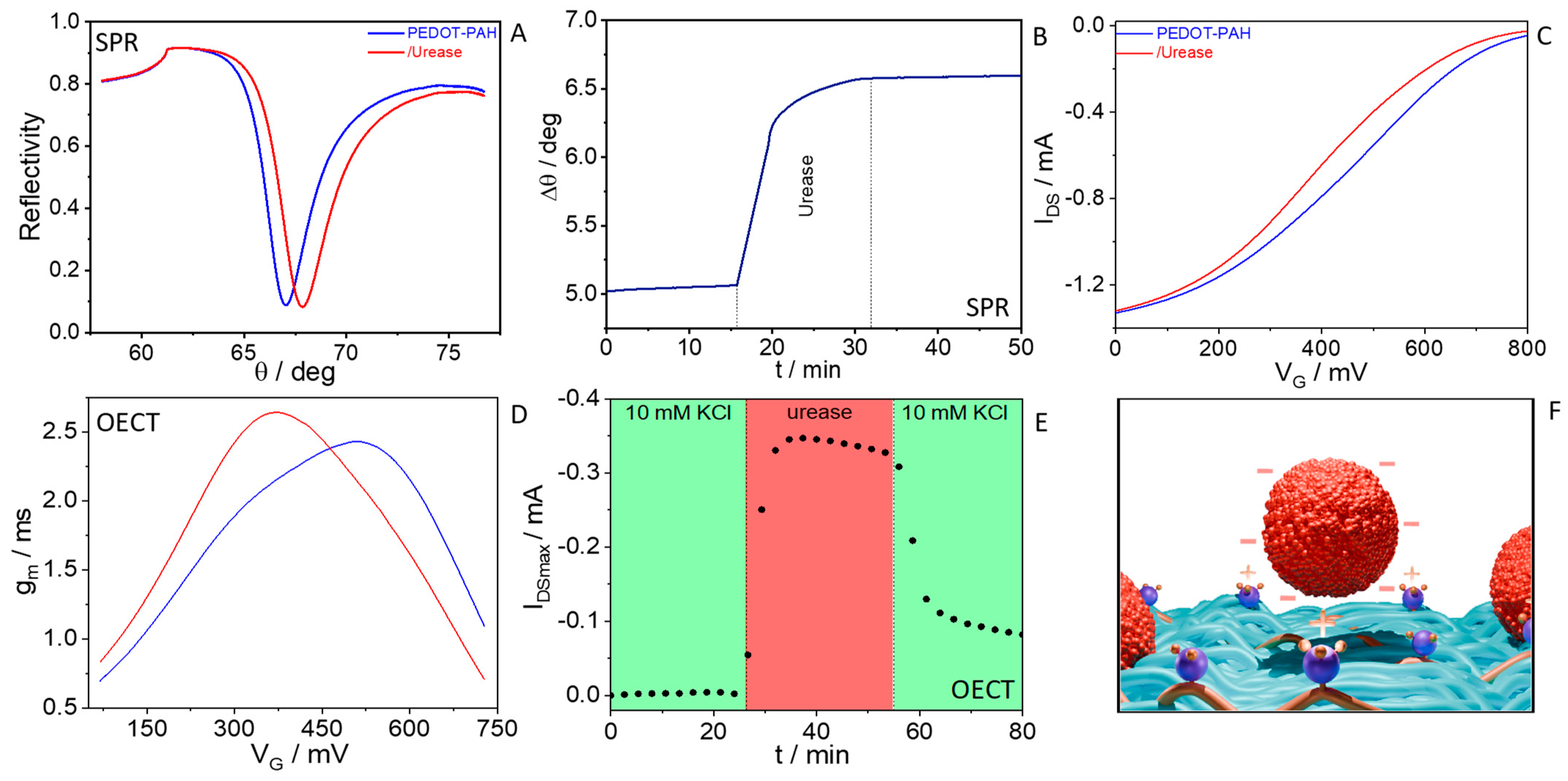 Chemosensors 12 00124 g001