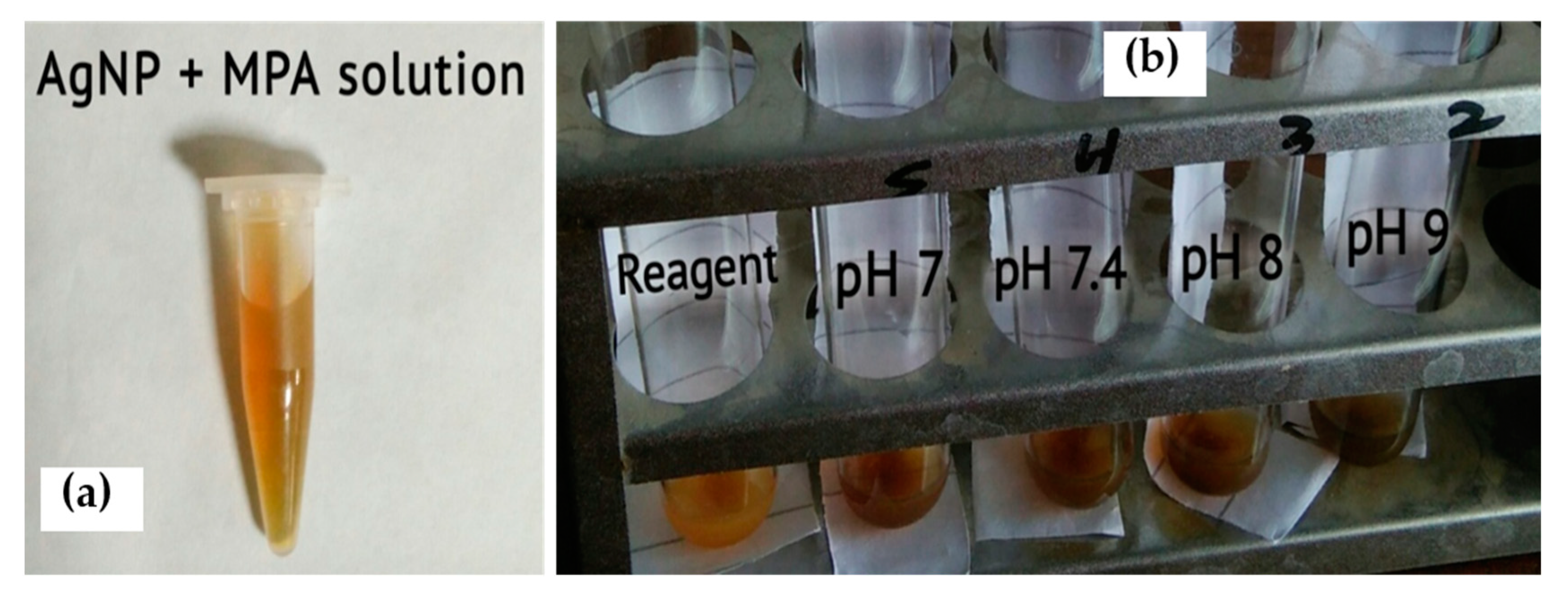Chemosensors 12 00126 g007
