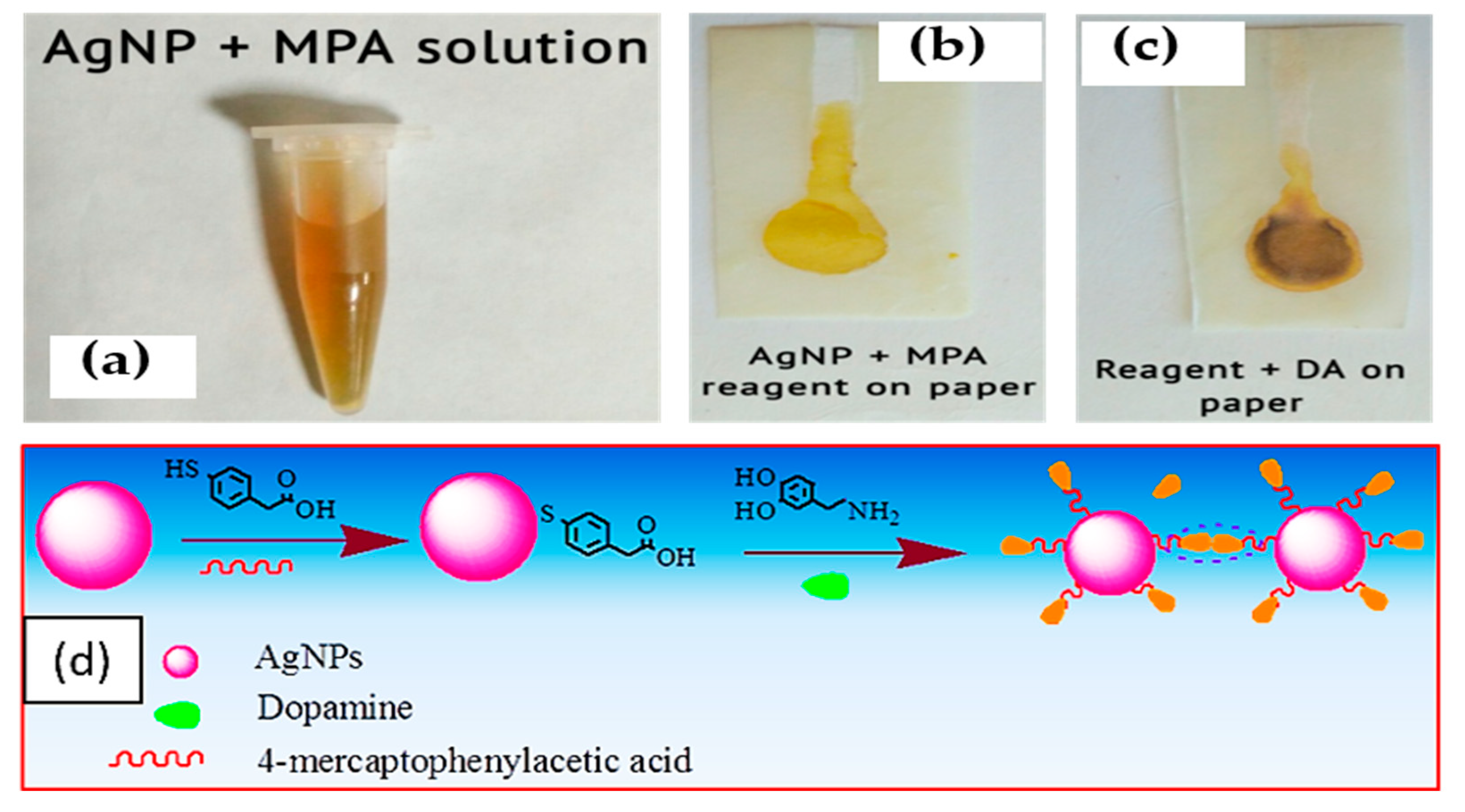 Chemosensors 12 00126 g008