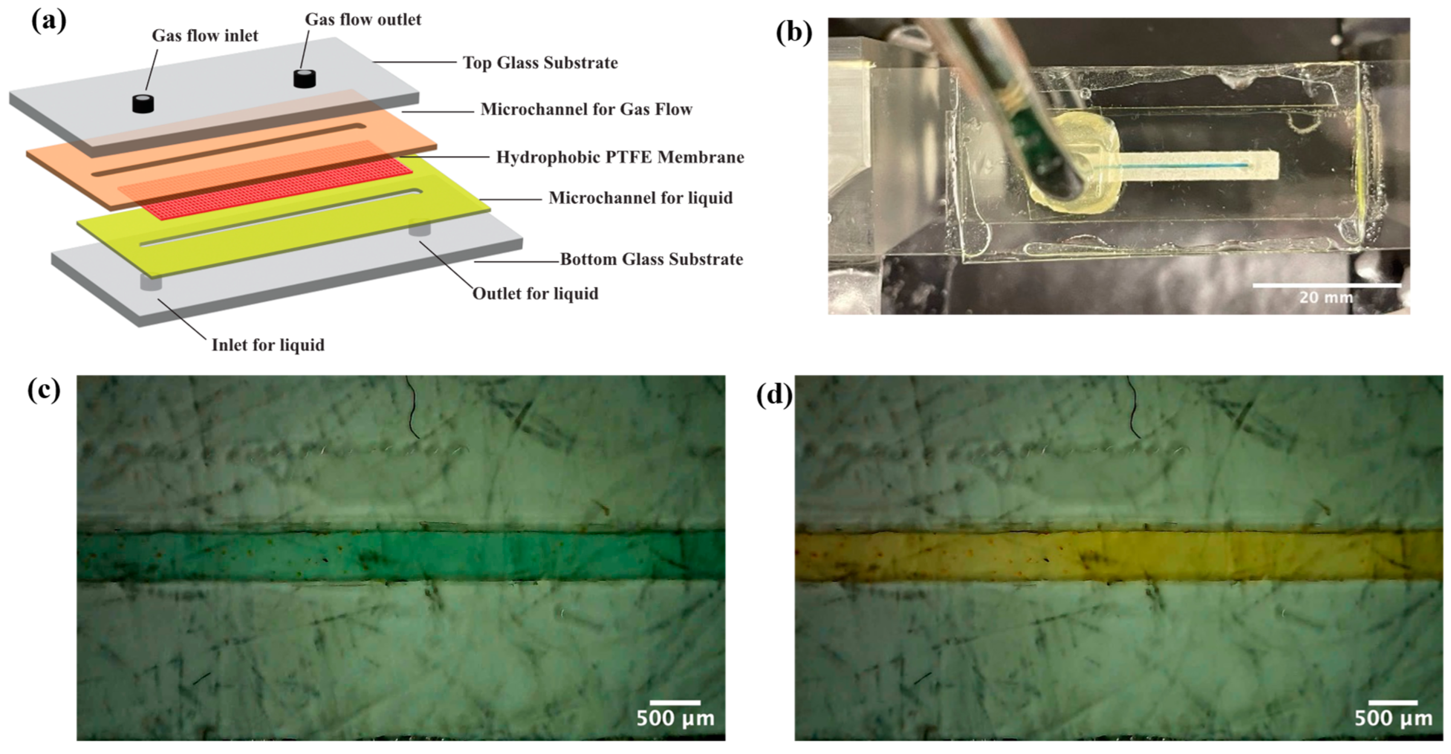 Chemosensors 12 00127 g001 Chemosensors 12 00127 g001