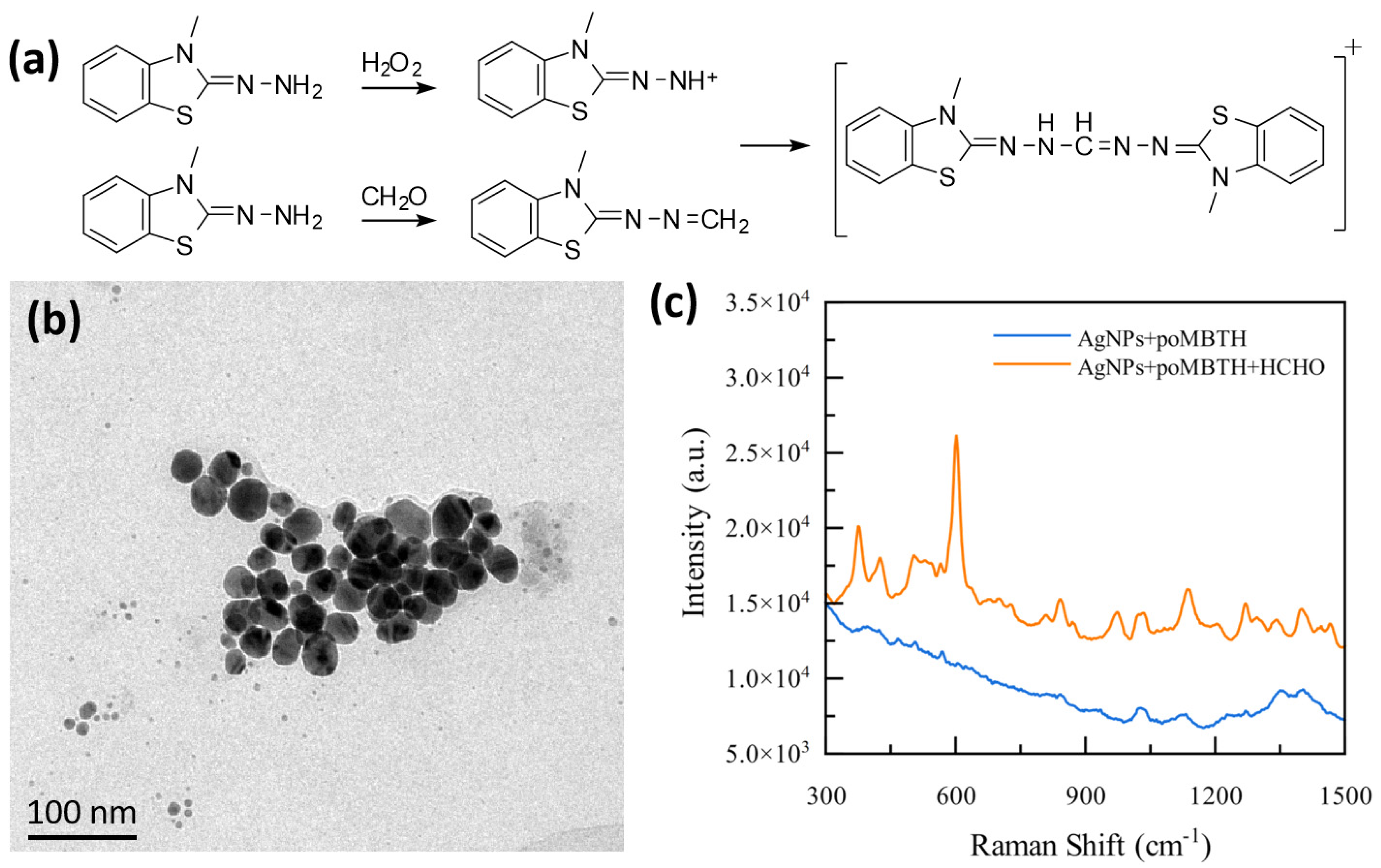 Chemosensors 12 00132 g001