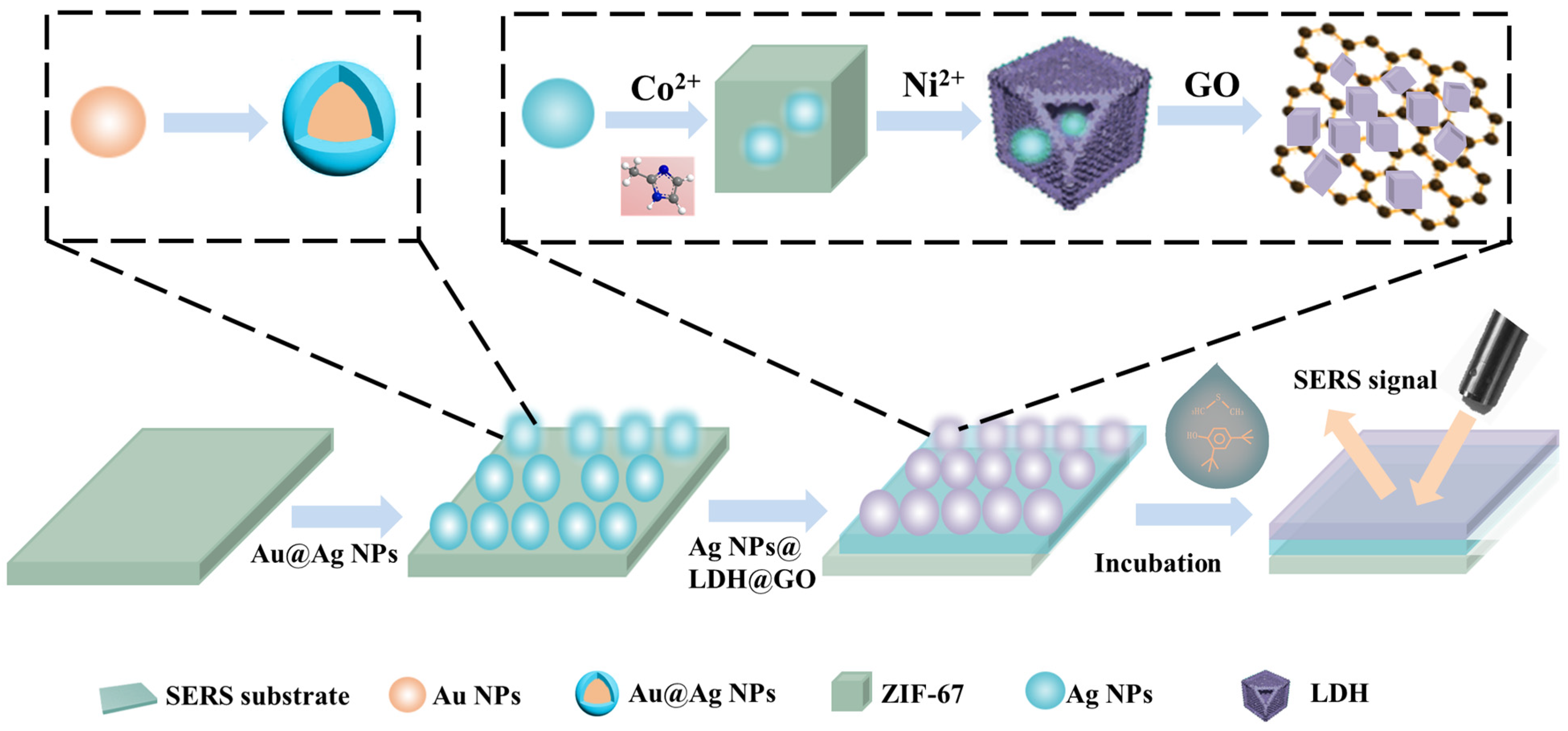 Chemosensors 12 00137 g001
