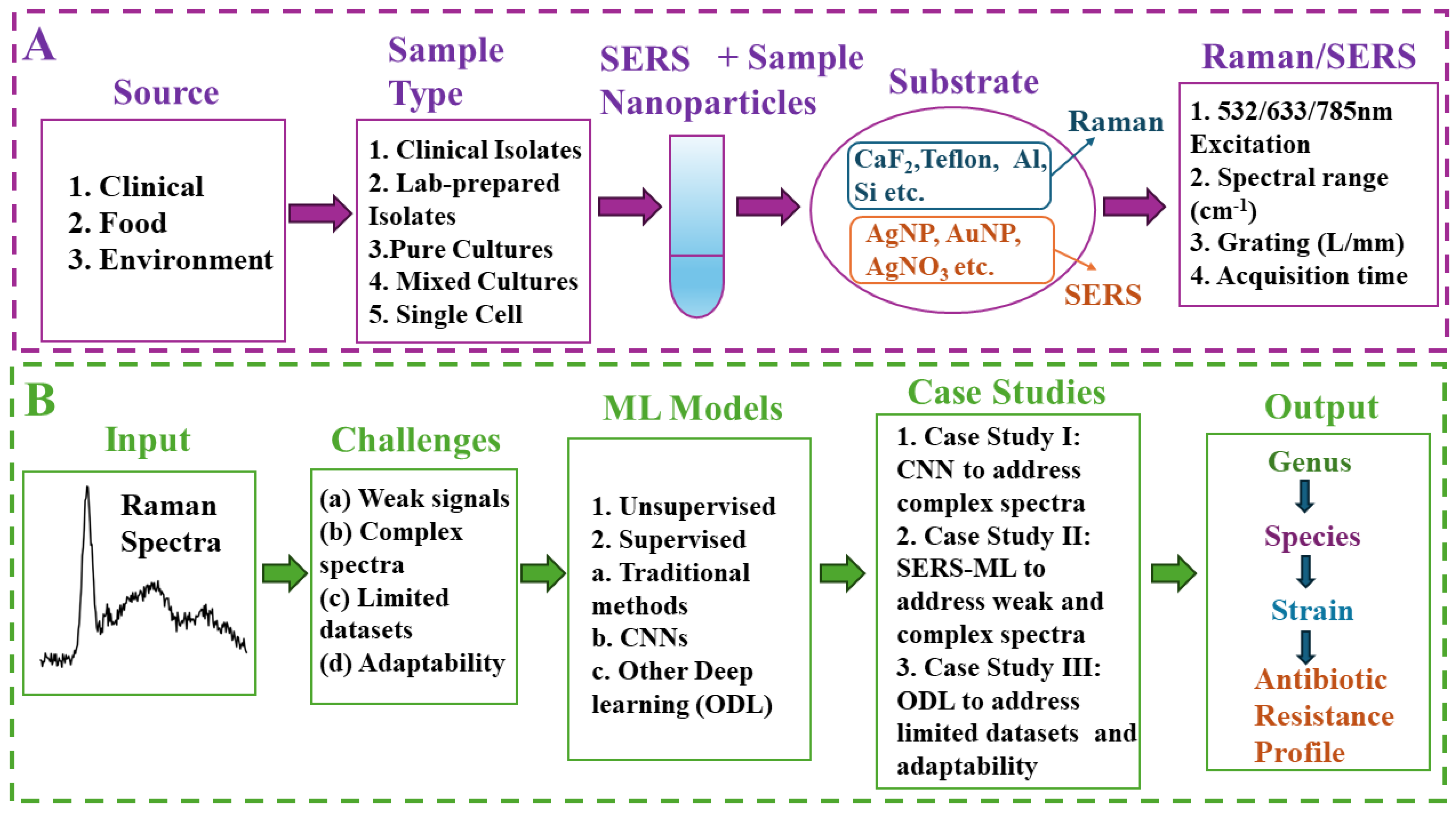 Chemosensors 12 00140 g001