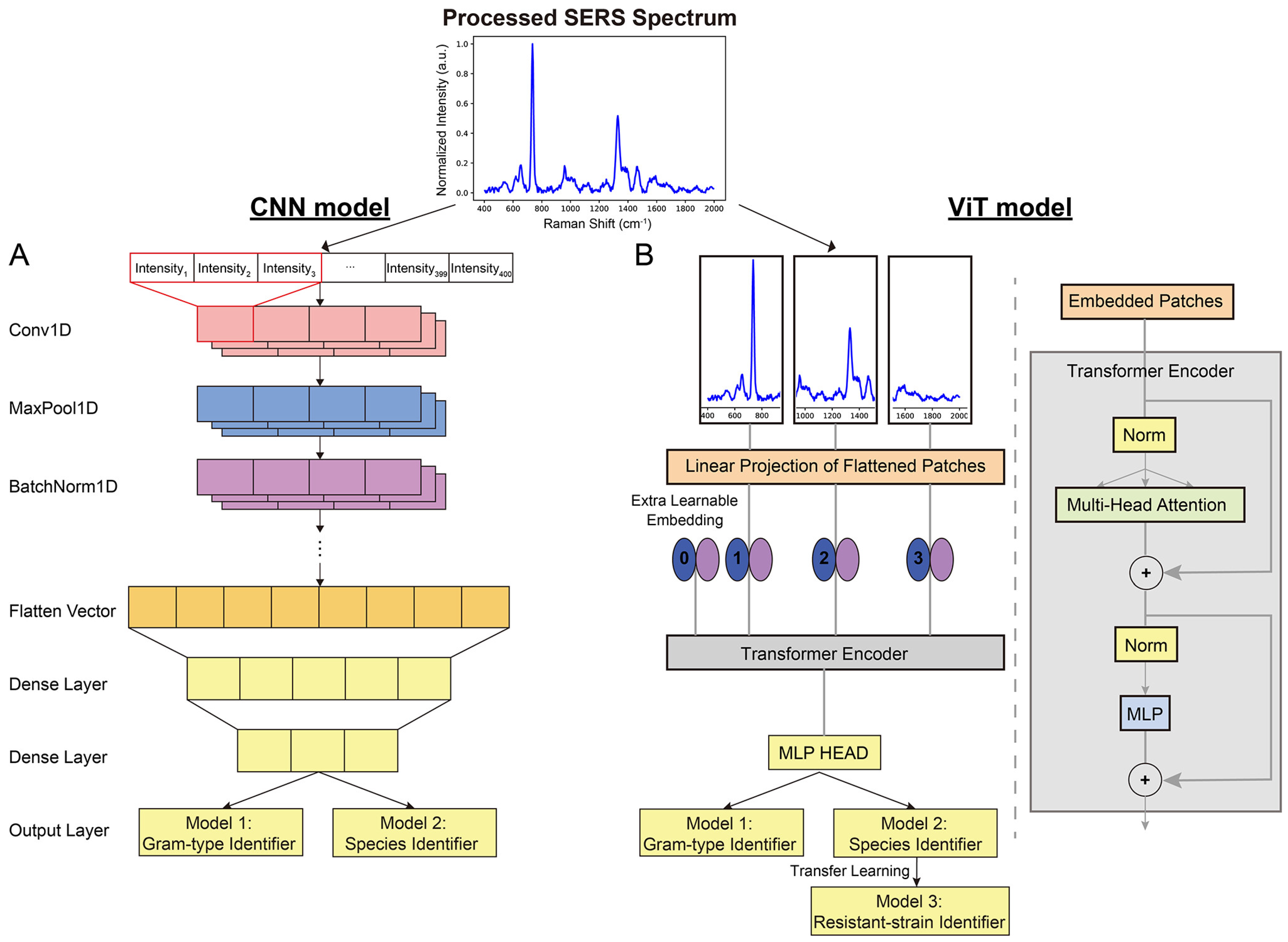 Chemosensors 12 00140 g004
